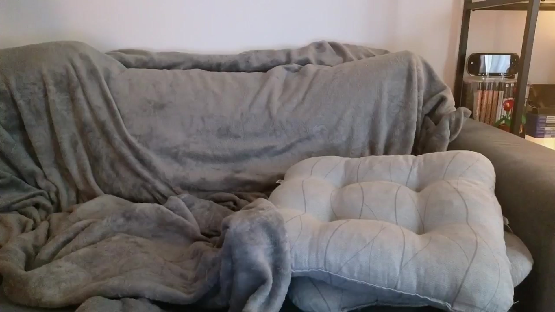 Gallery image thumbnail from Yuri_elfie's myfreecams stream on, 05/03/2025, 06:32 image 7 of 20