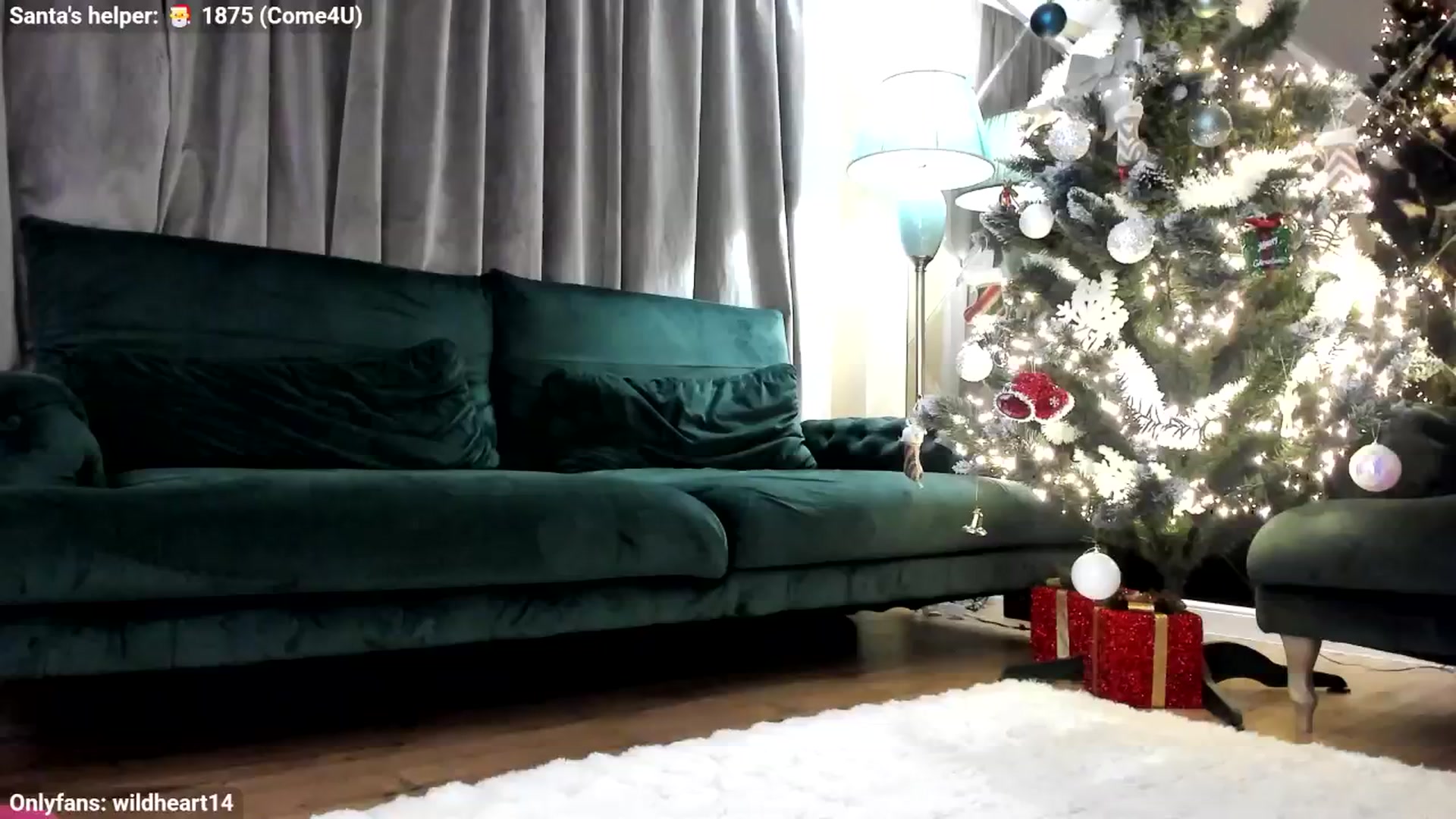 Gallery image thumbnail from Yveline's myfreecams stream on, 12/02/2025, 22:22 image 11 of 20