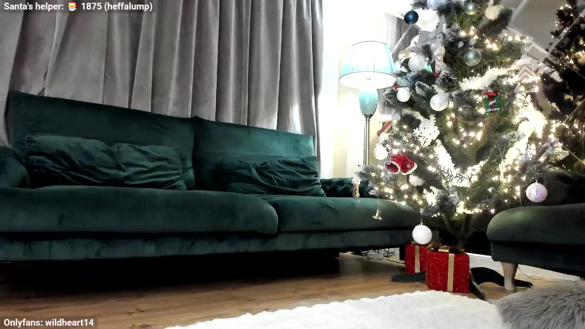 Gallery image thumbnail from Yveline's myfreecams stream on, 12/03/2025, 19:40 image 5 of 20