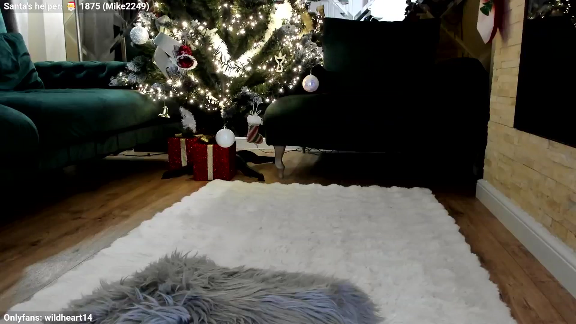 Gallery image thumbnail from Yveline's myfreecams stream on, 12/08/2025, 22:21 image 9 of 20