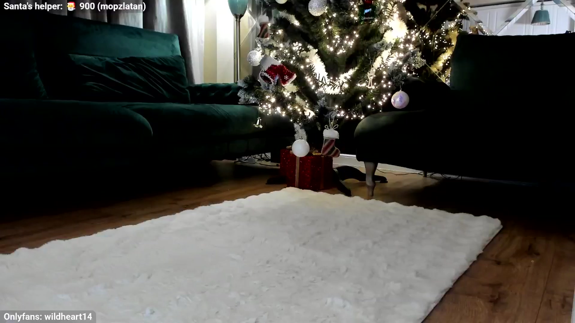 Gallery image thumbnail from Yveline's myfreecams stream on, 12/09/2025, 21:17 image 15 of 20