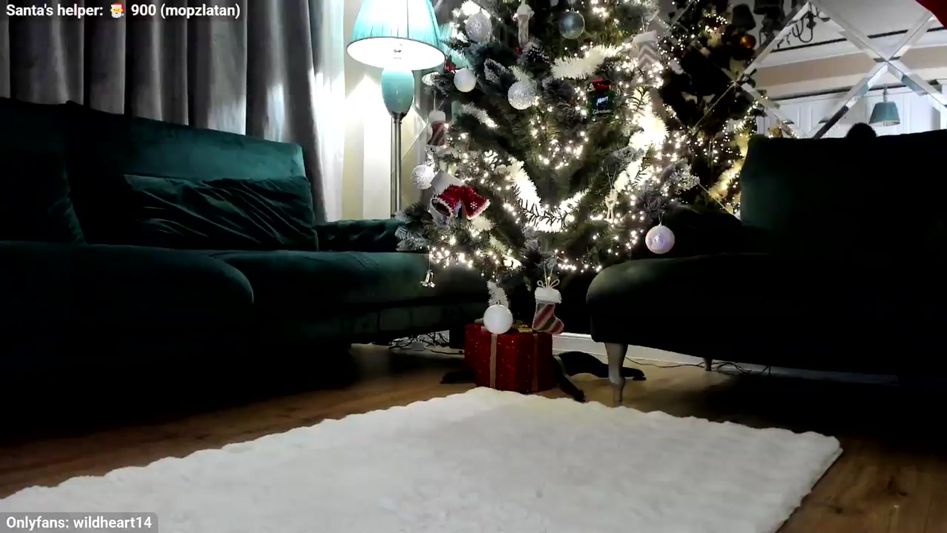 Gallery image thumbnail from Yveline's myfreecams stream on, 12/09/2025, 21:17 image 10 of 20