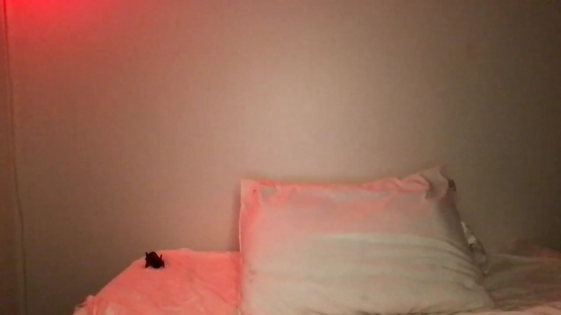 Gallery image thumbnail from ZanaRose's myfreecams stream on, 08/05/2024, 08:53 image 7 of 20