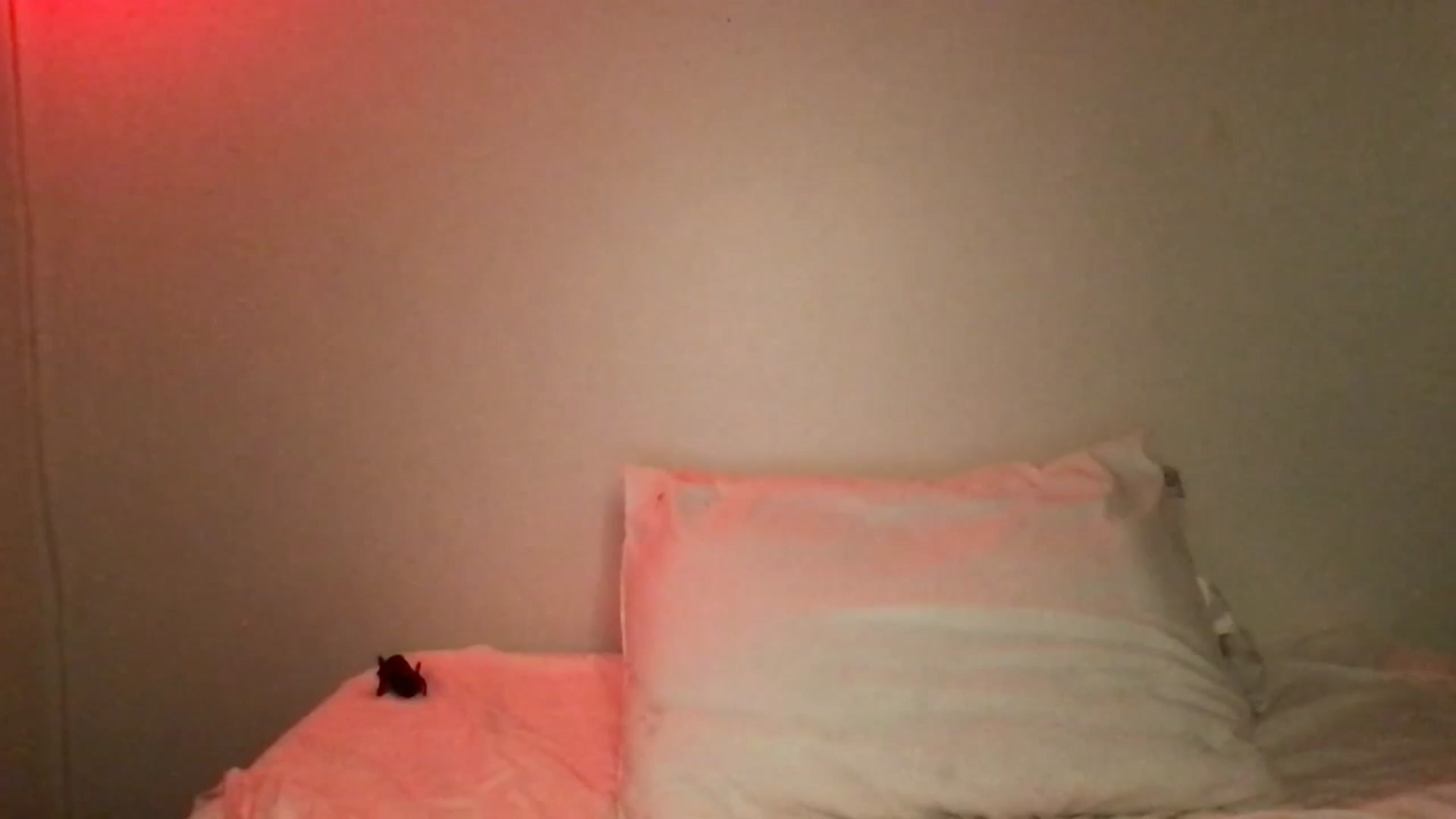 Gallery image thumbnail from ZanaRose's myfreecams stream on, 08/05/2024, 08:53 image 8 of 20