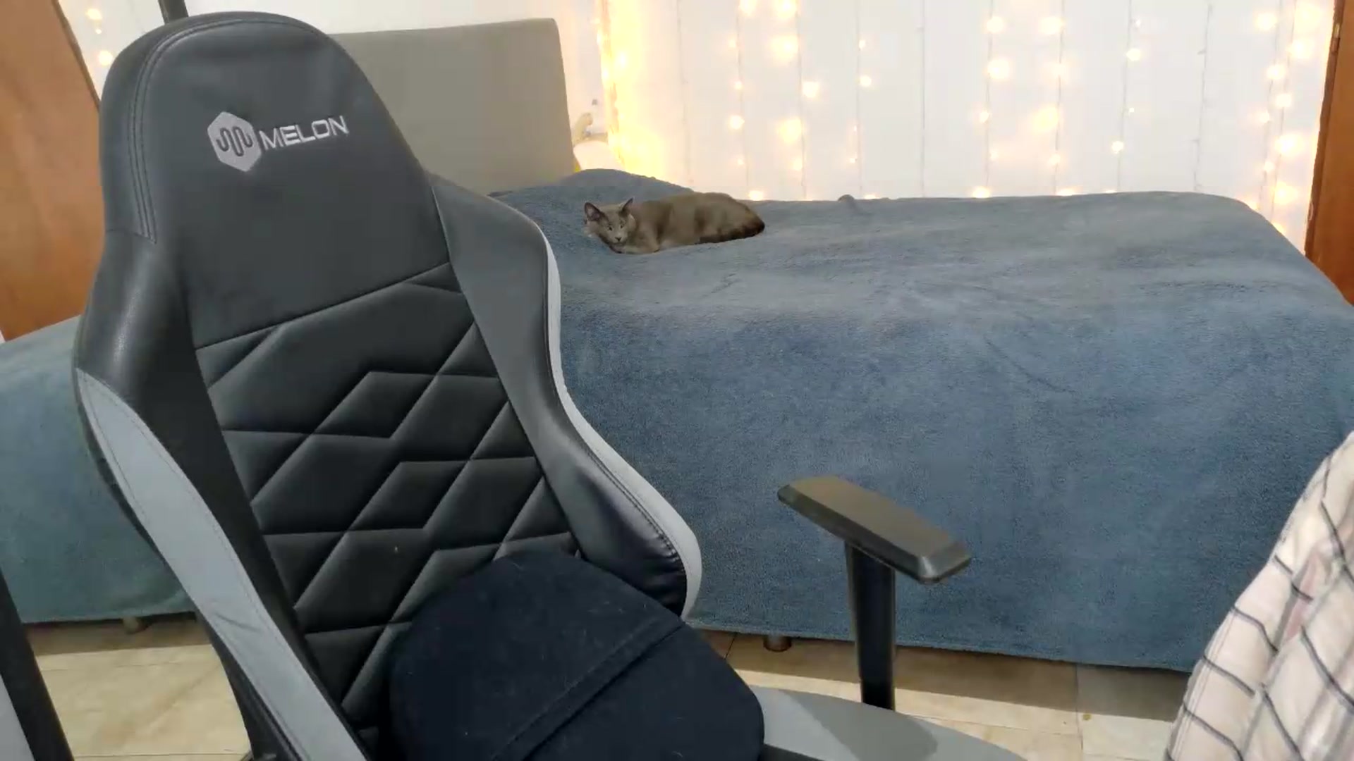 Gallery image thumbnail from Zefyra1's myfreecams stream on, 08/03/2026, 15:06 image 10 of 20