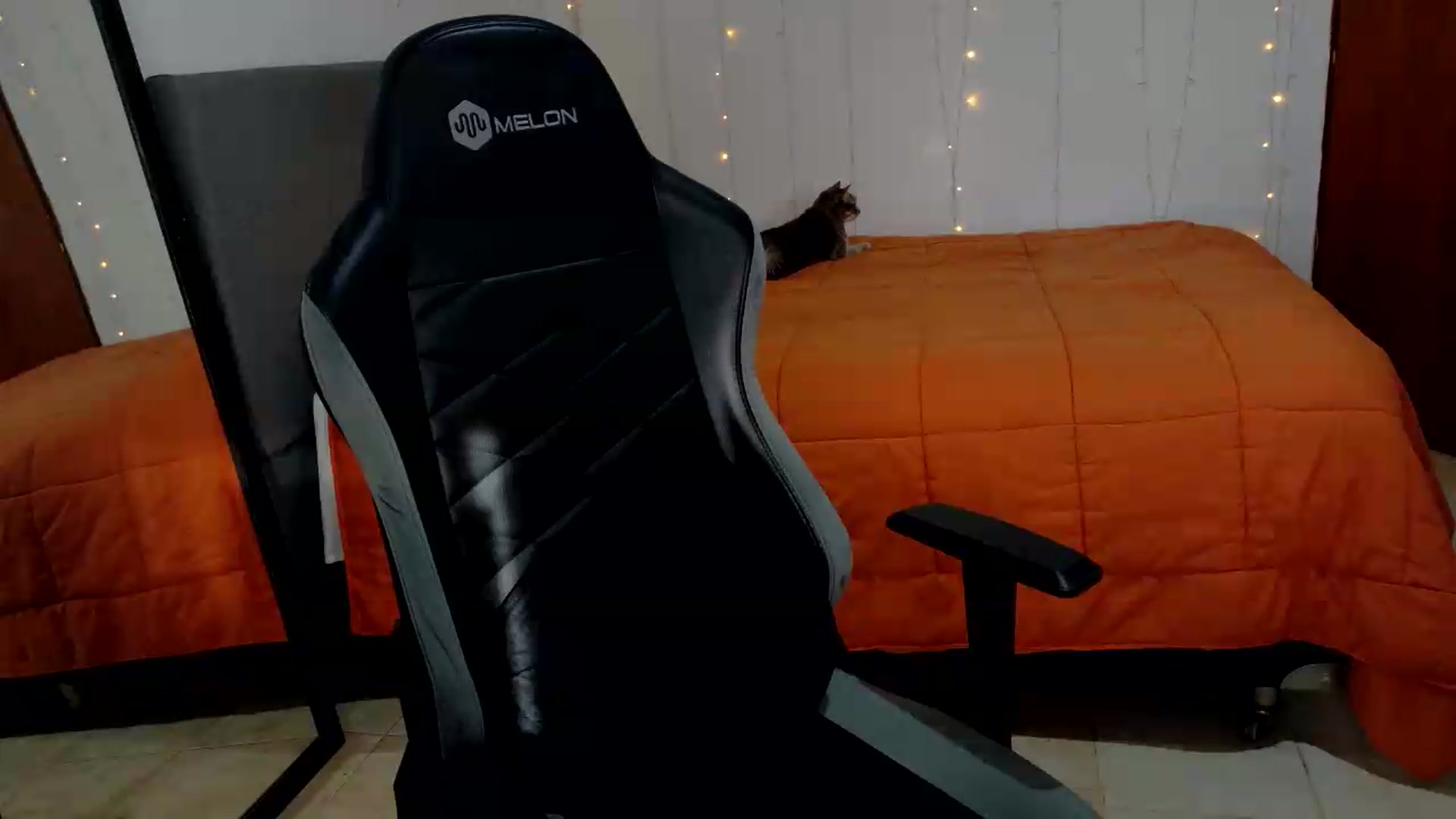 Gallery image thumbnail from Zefyra1's myfreecams stream on, 08/24/2026, 20:33 image 14 of 20