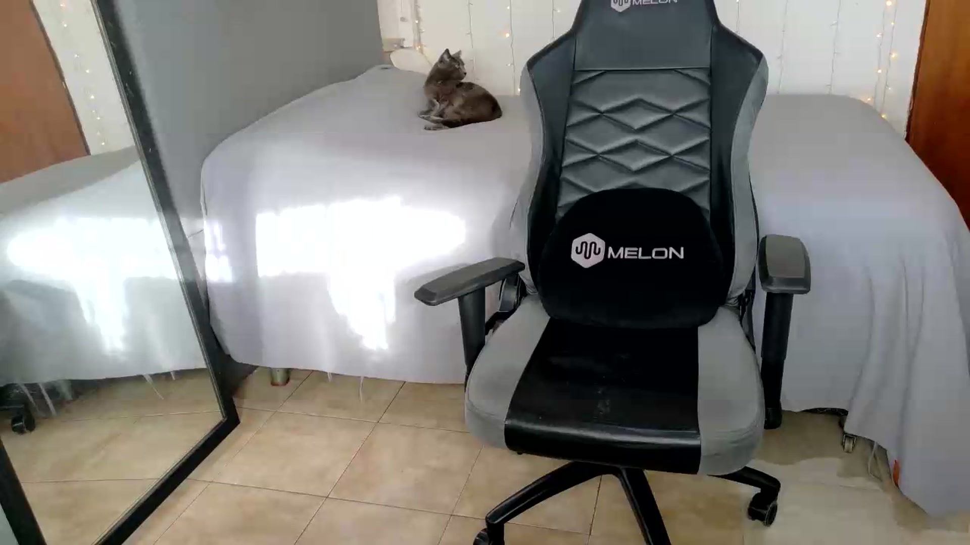 Gallery image thumbnail from Zefyra1's myfreecams stream on, 09/03/2026, 20:01 image 19 of 20