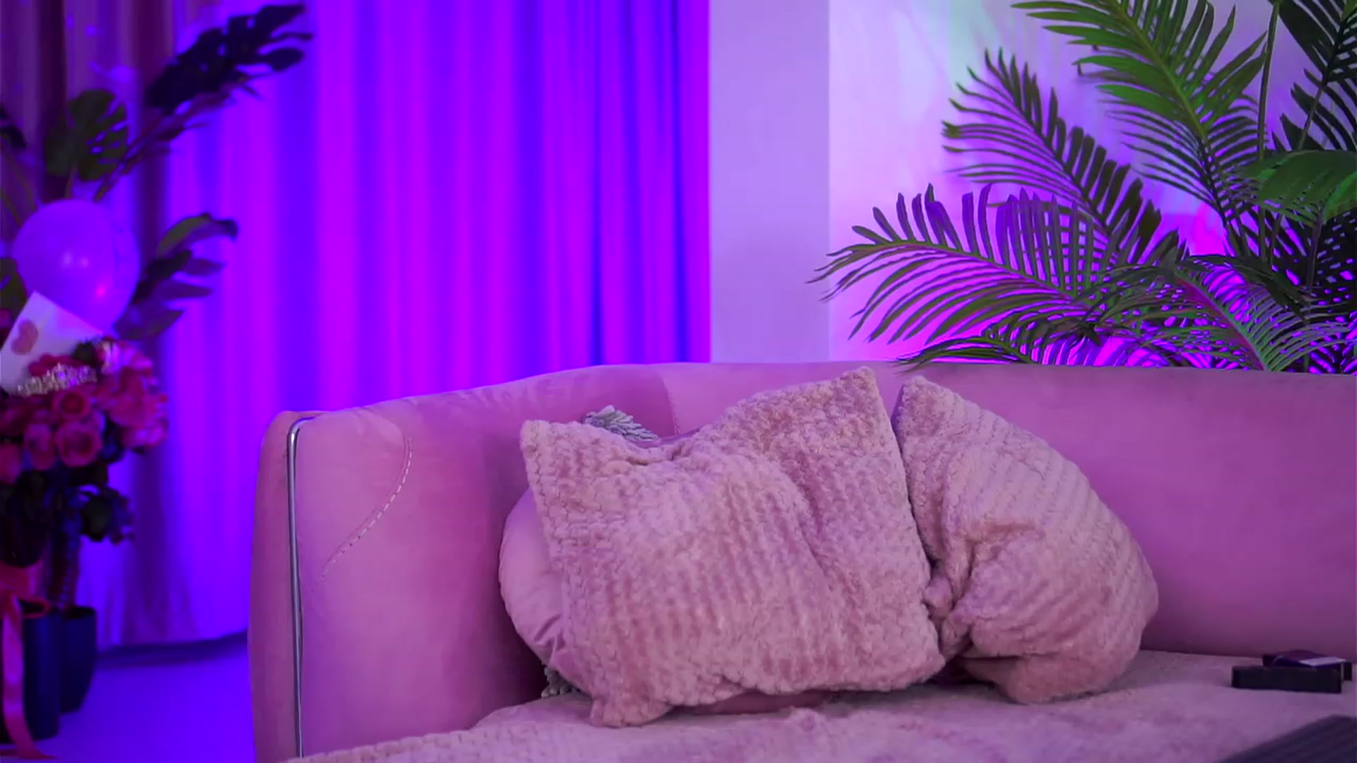 Gallery image thumbnail from ZennyRosse's myfreecams stream on, 10/15/2023, 16:43 image 1 of 20