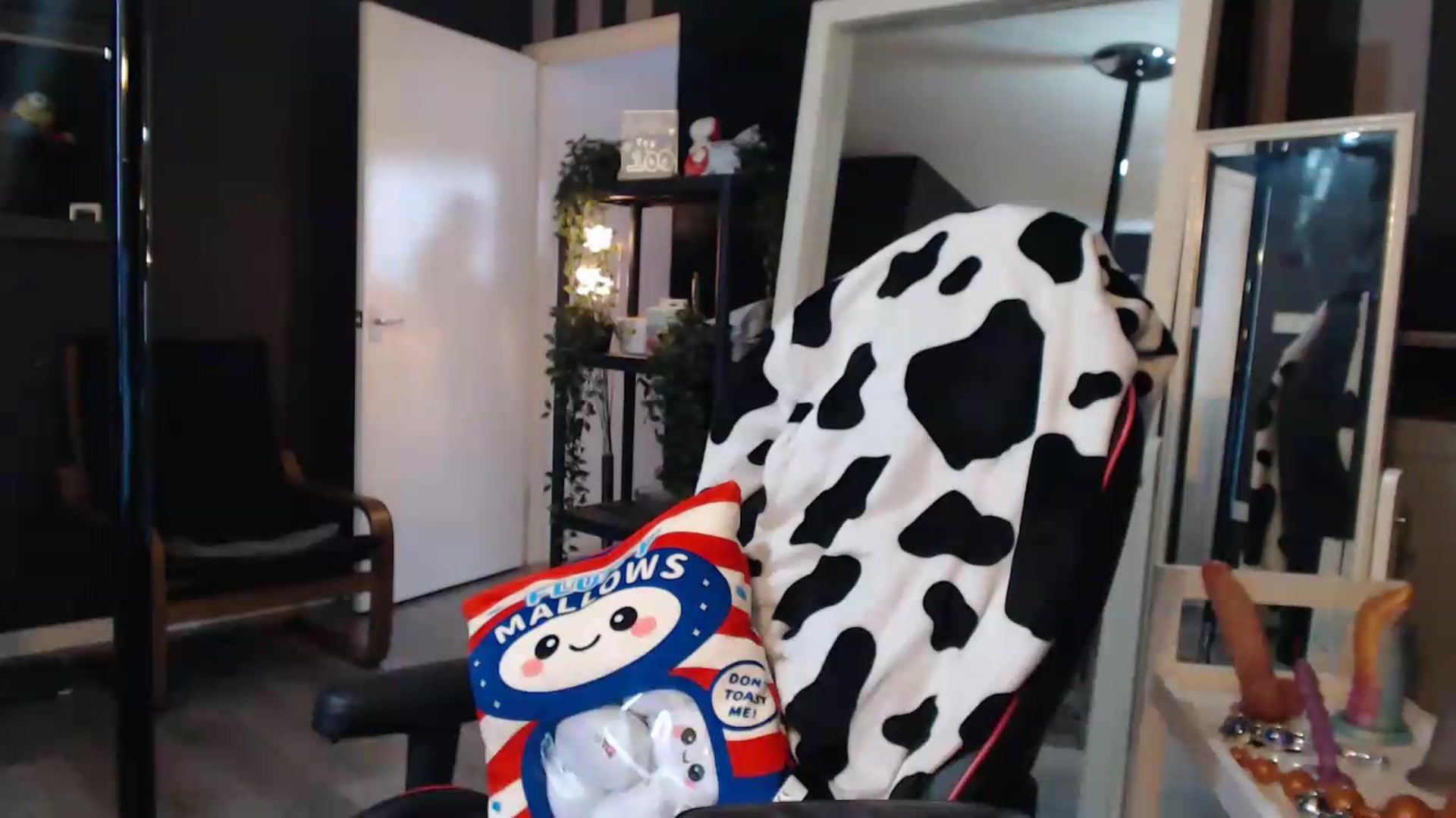 Gallery image thumbnail from ZephyraObs's myfreecams stream on, 09/02/2026, 16:42 image 15 of 20