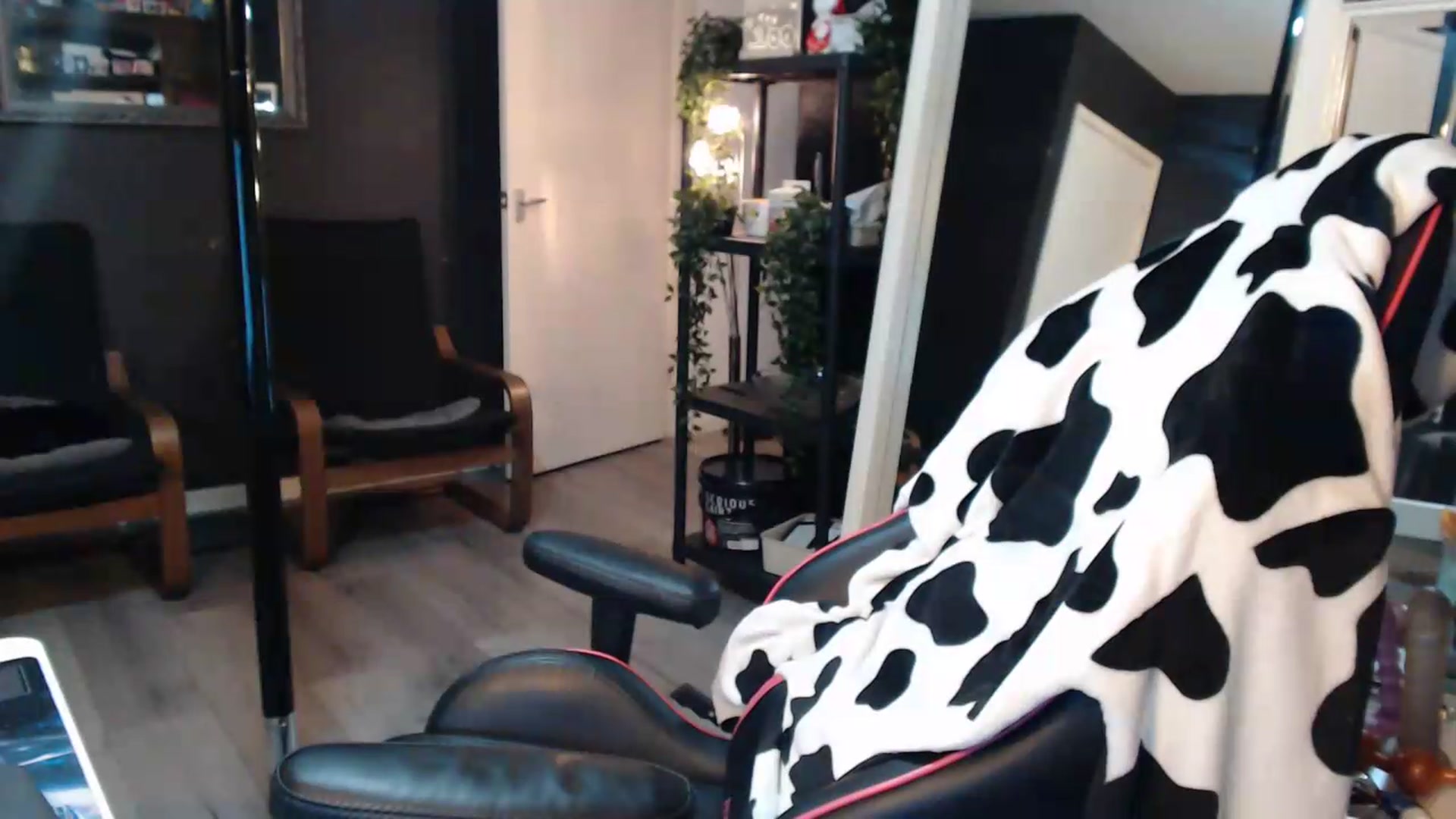 Gallery image thumbnail from ZephyraObs's myfreecams stream on, 09/03/2026, 21:08 image 13 of 20