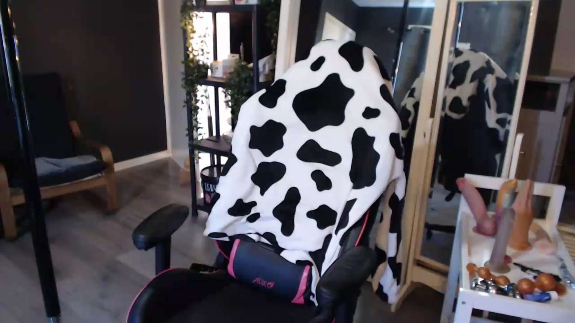 Gallery image thumbnail from ZephyraObs's myfreecams stream on, 09/04/2026, 13:31 image 18 of 20