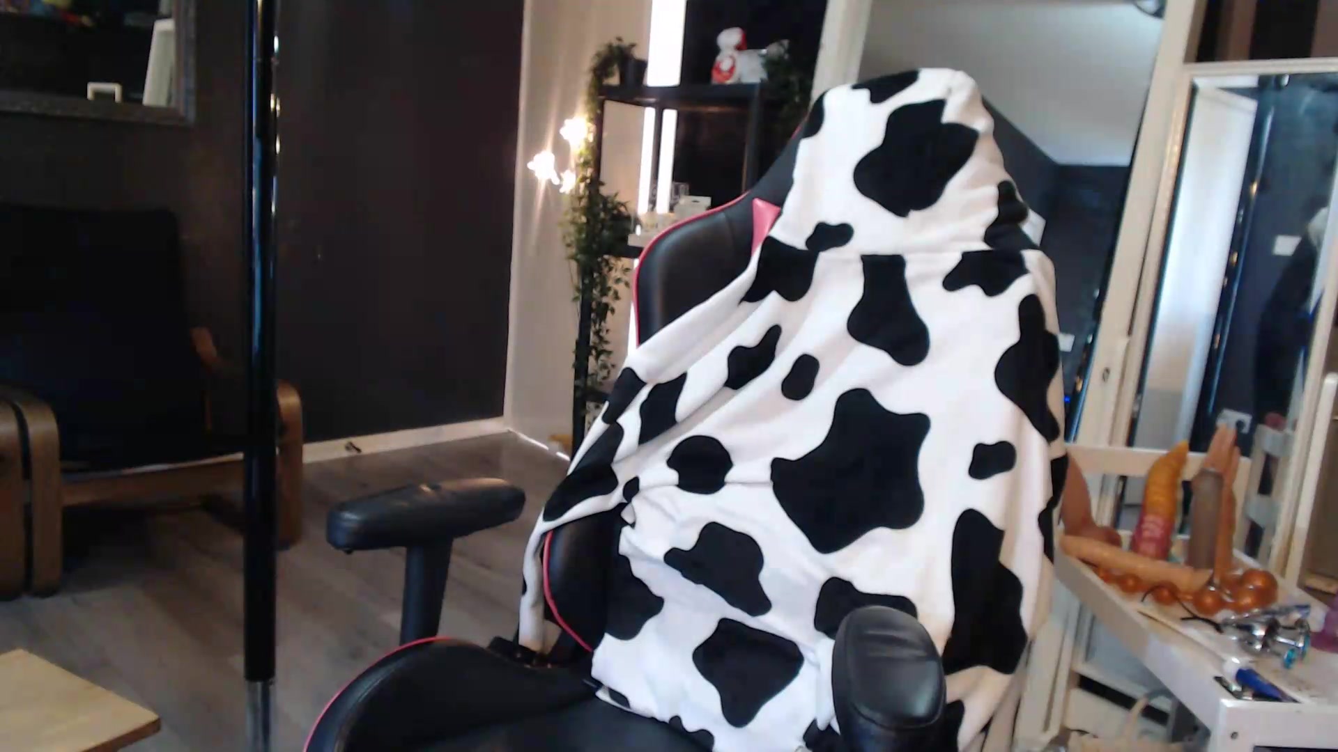 Gallery image thumbnail from ZephyraObs's myfreecams stream on, 09/07/2026, 17:52 image 8 of 20