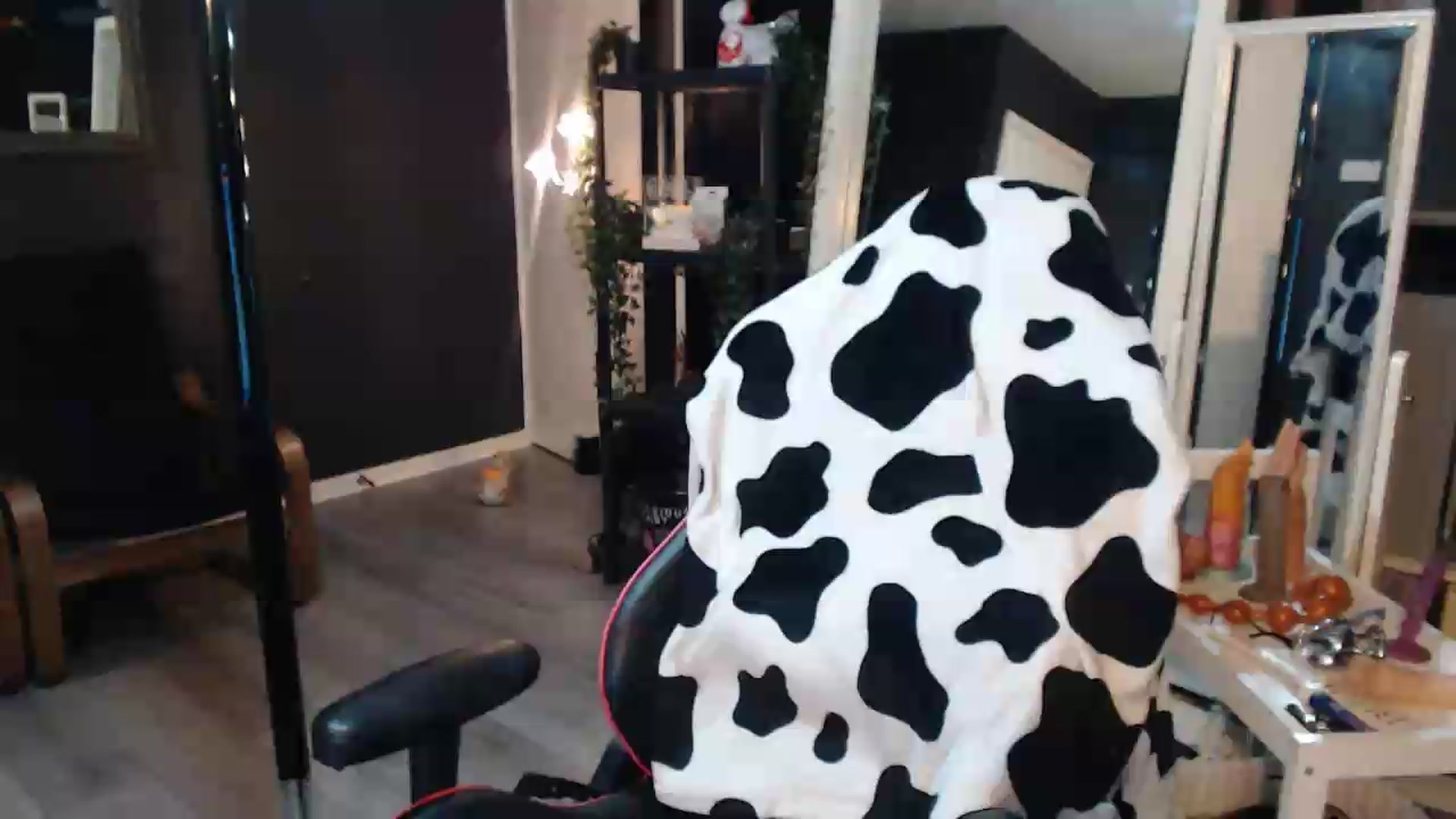 Gallery image thumbnail from ZephyraObs's myfreecams stream on, 09/07/2026, 19:32 image 10 of 20