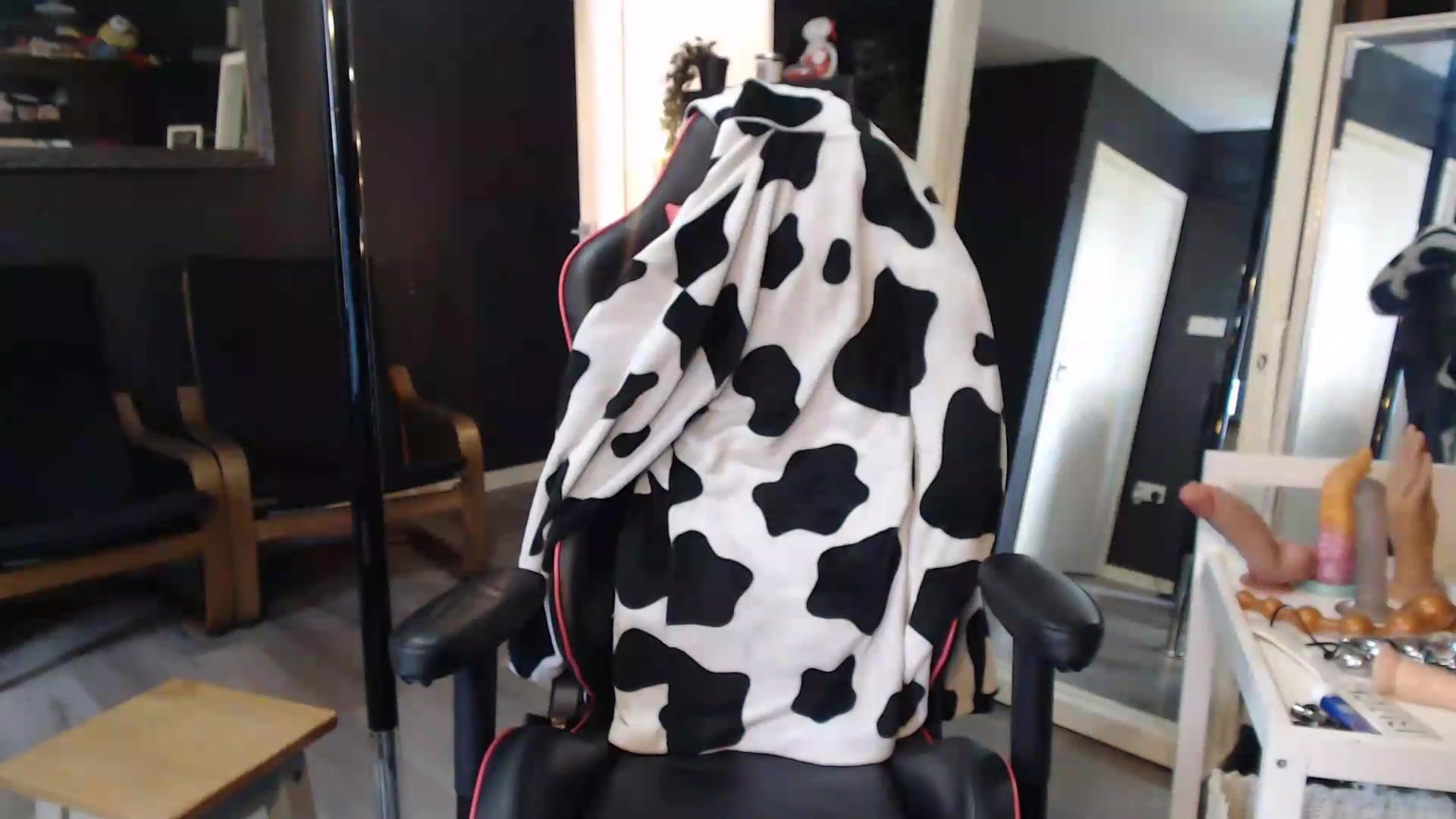 Gallery image thumbnail from ZephyraObs's myfreecams stream on, 09/09/2026, 14:56 image 12 of 20
