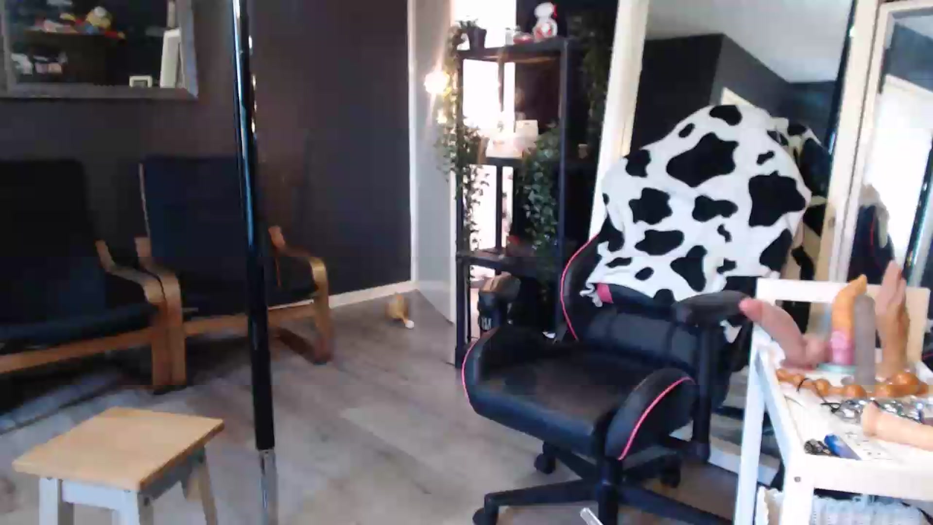Gallery image thumbnail from ZephyraObs's myfreecams stream on, 09/09/2026, 16:54 image 18 of 20
