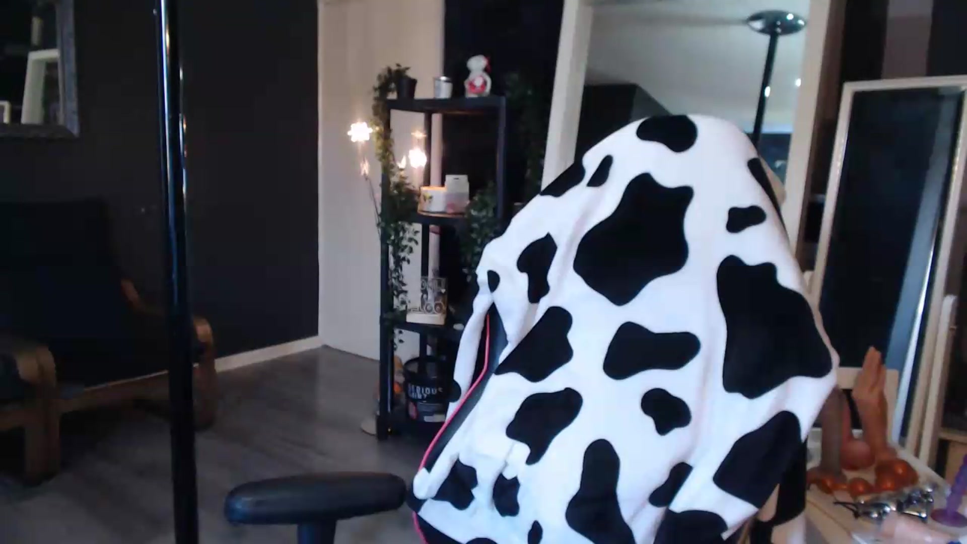 Gallery image thumbnail from ZephyraObs's myfreecams stream on, 09/12/2026, 11:58 image 5 of 20