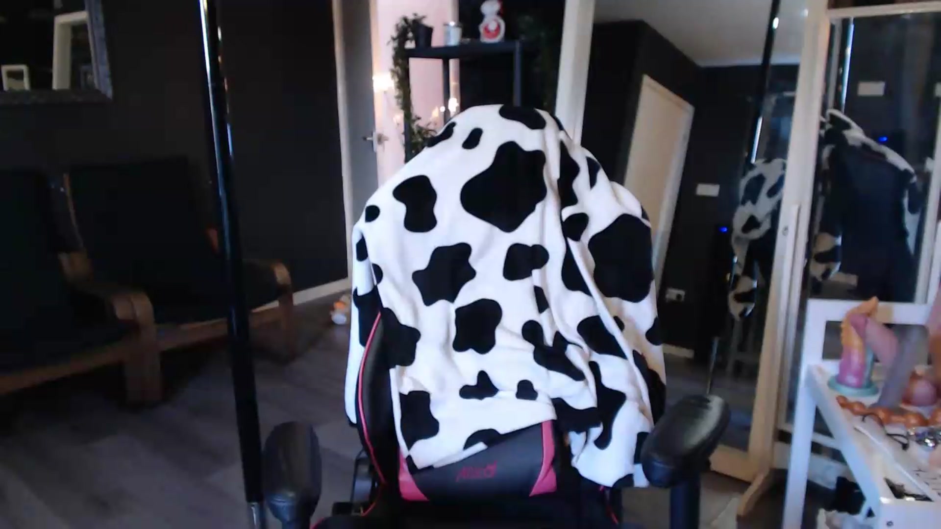 Gallery image thumbnail from ZephyraObs's myfreecams stream on, 09/15/2026, 15:16 image 15 of 20
