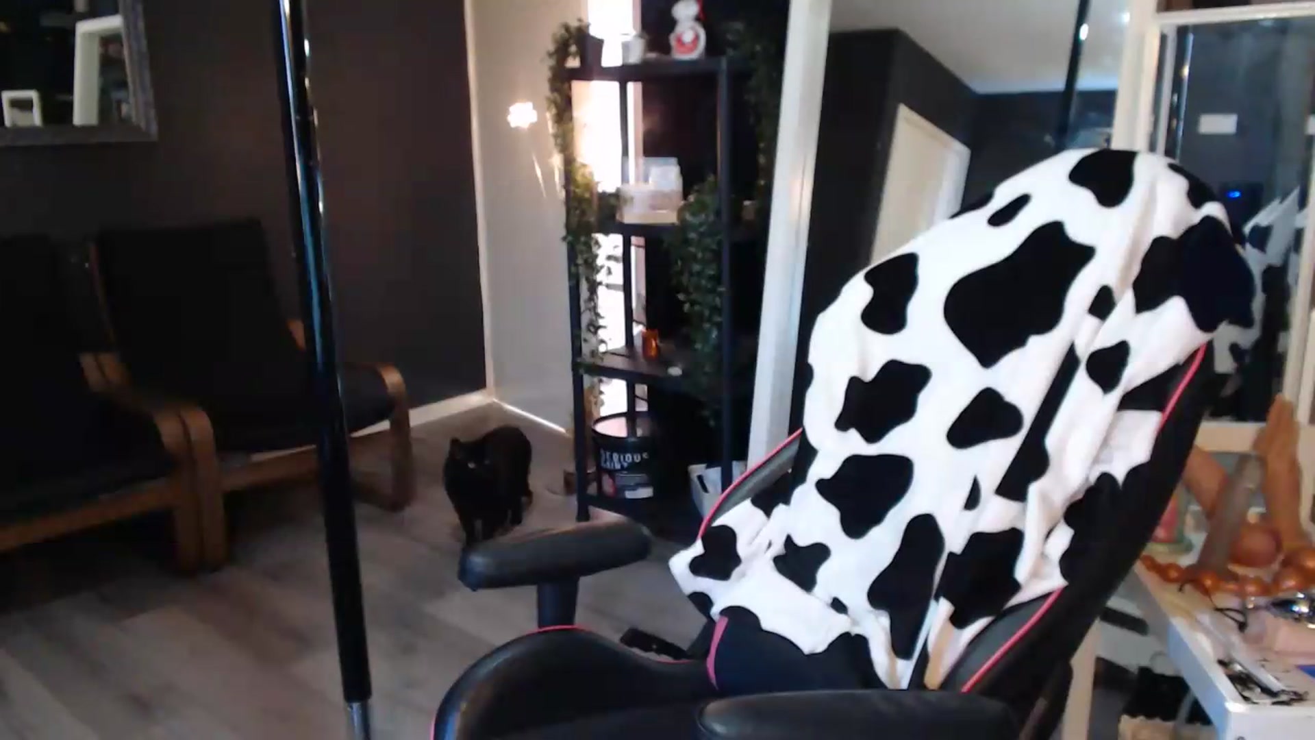 Gallery image thumbnail from ZephyraObs's myfreecams stream on, 09/15/2026, 16:04 image 17 of 20