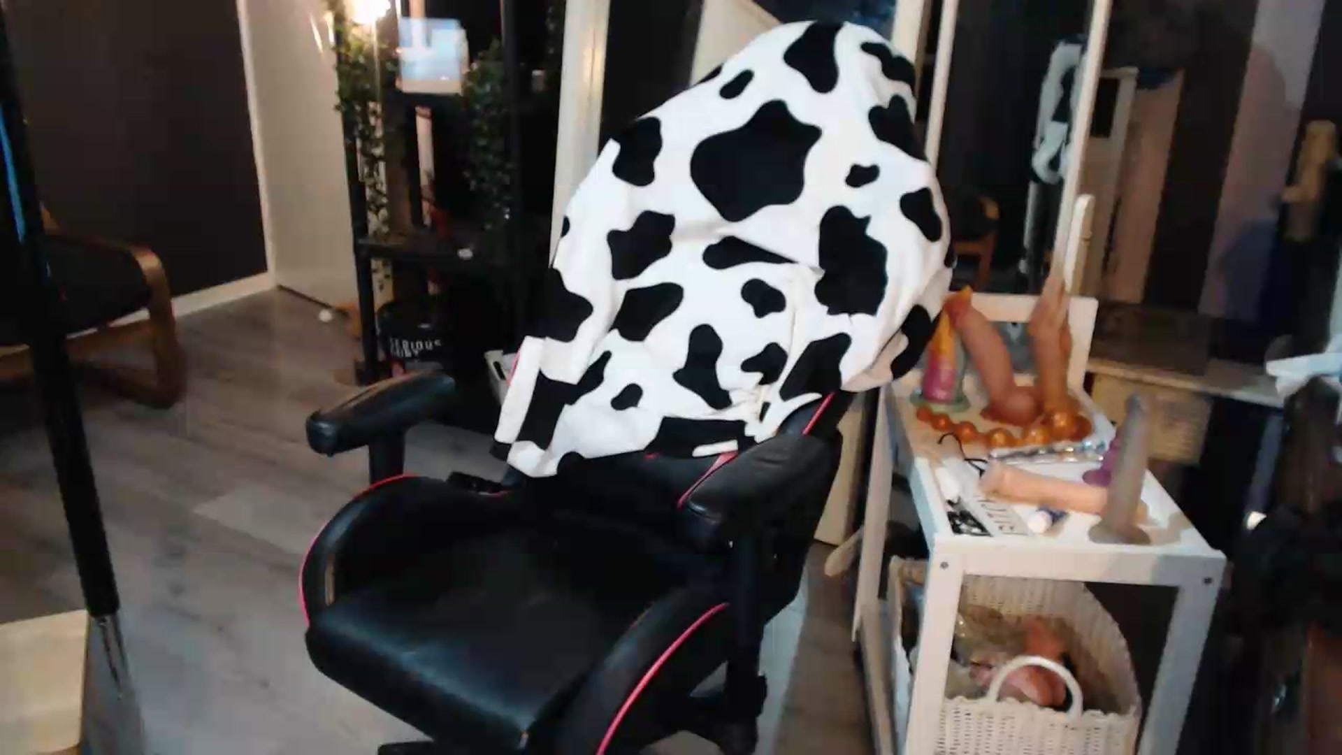 Gallery image thumbnail from ZephyraObs's myfreecams stream on, 09/15/2026, 19:35 image 13 of 20