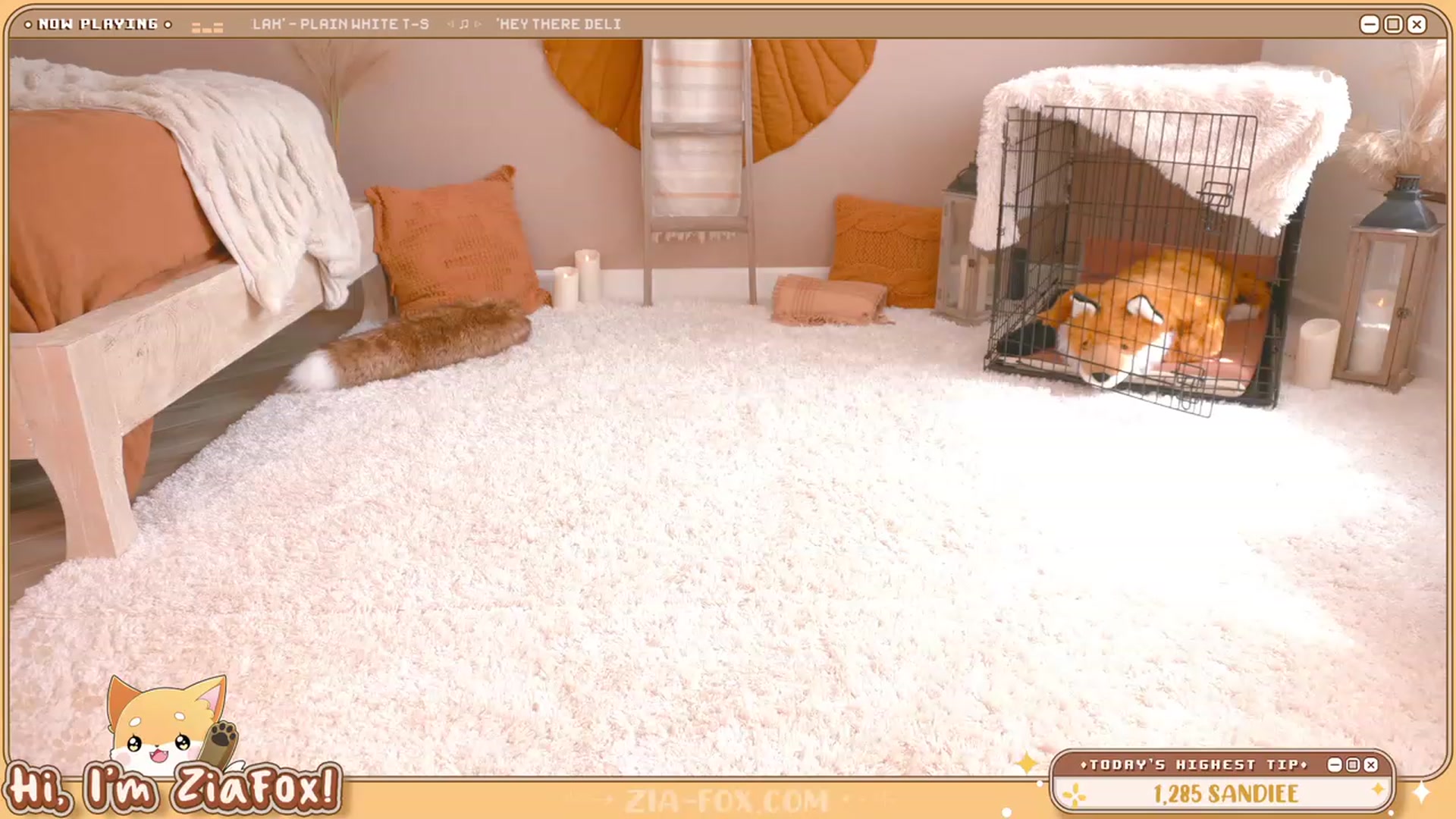 Gallery image thumbnail from ZiaFox's myfreecams stream on, 07/30/2023, 01:21 image 4 of 20