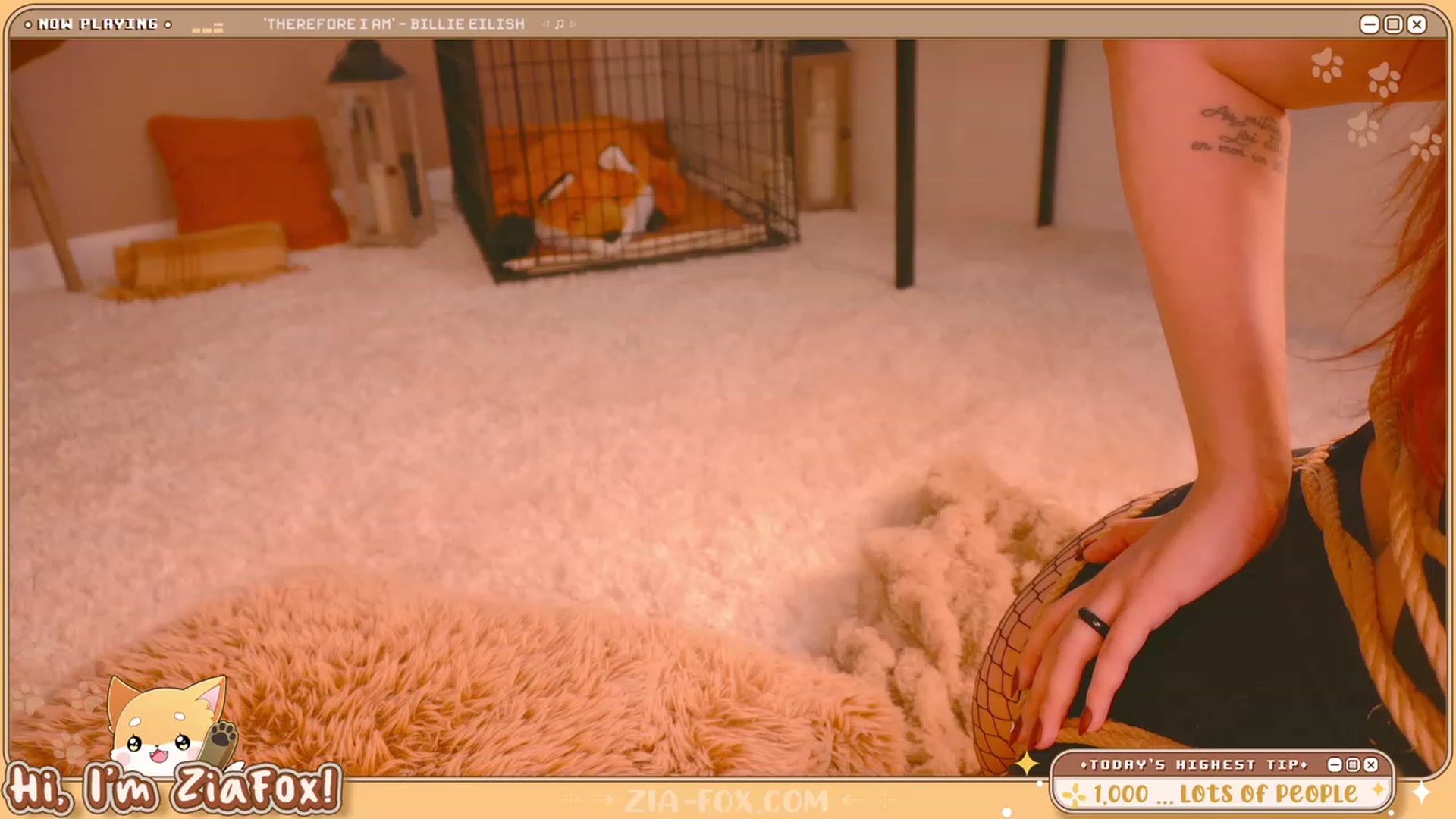 Gallery image thumbnail from ZiaFox's myfreecams stream on, 08/19/2023, 01:13 image 17 of 20