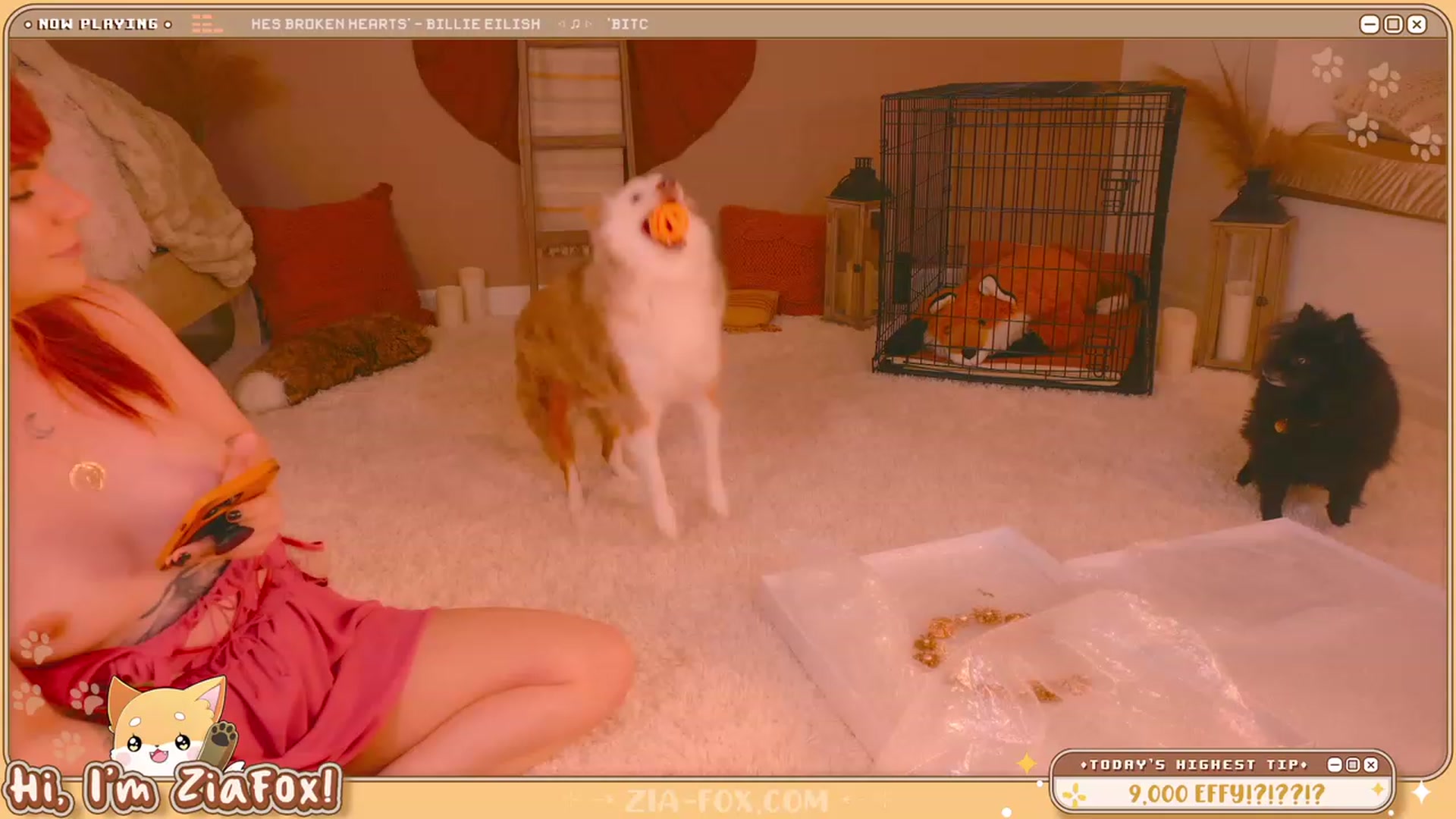 Gallery image thumbnail from ZiaFox's myfreecams stream on, 08/28/2023, 02:51 image 19 of 20