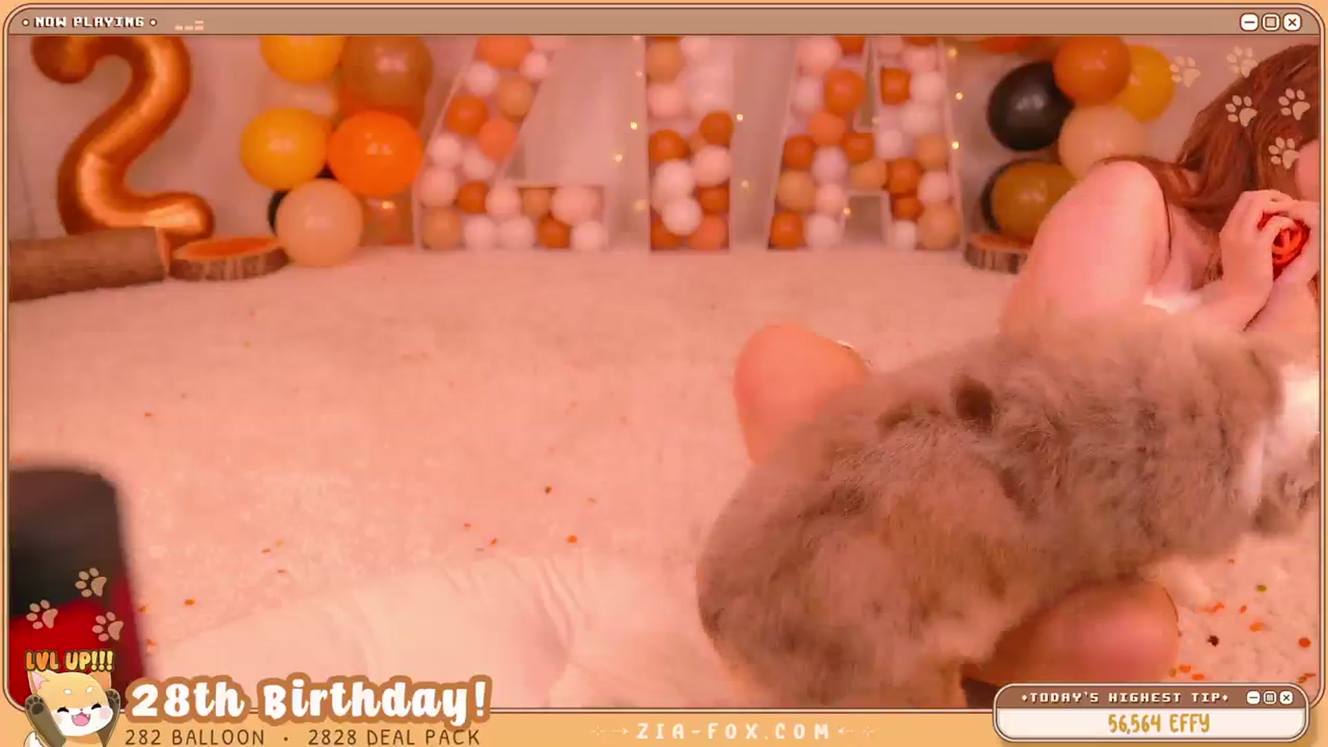 Gallery image thumbnail from ZiaFox's myfreecams stream on, 03/11/2024, 05:24 image 8 of 20