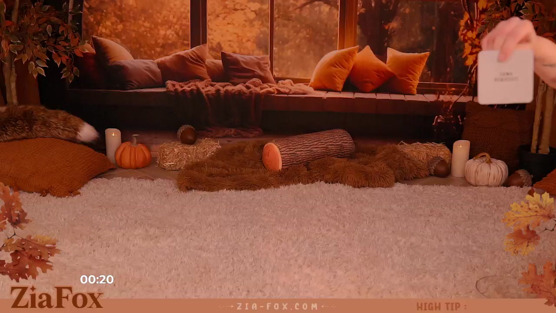Gallery image thumbnail from ZiaFox's myfreecams stream on, 11/10/2024, 24:02 image 2 of 20