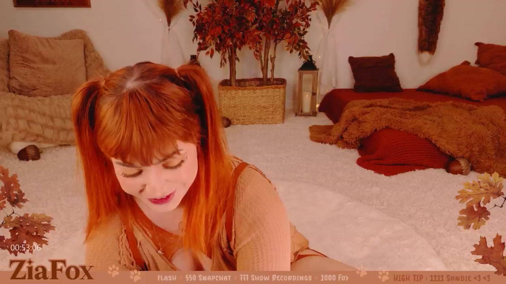 Gallery image thumbnail from ZiaFox's myfreecams stream on, 11/21/2025, 24:45 image 15 of 20