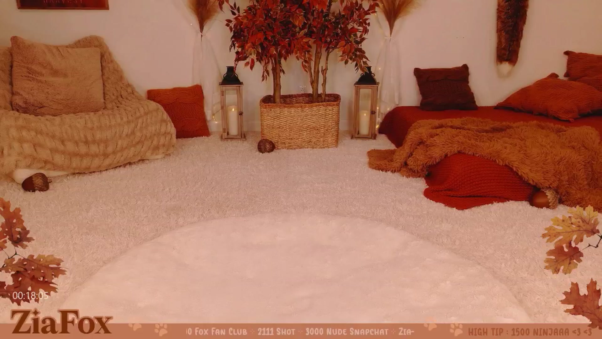 Gallery image thumbnail from ZiaFox's myfreecams stream on, 11/21/2025, 01:11 image 13 of 20