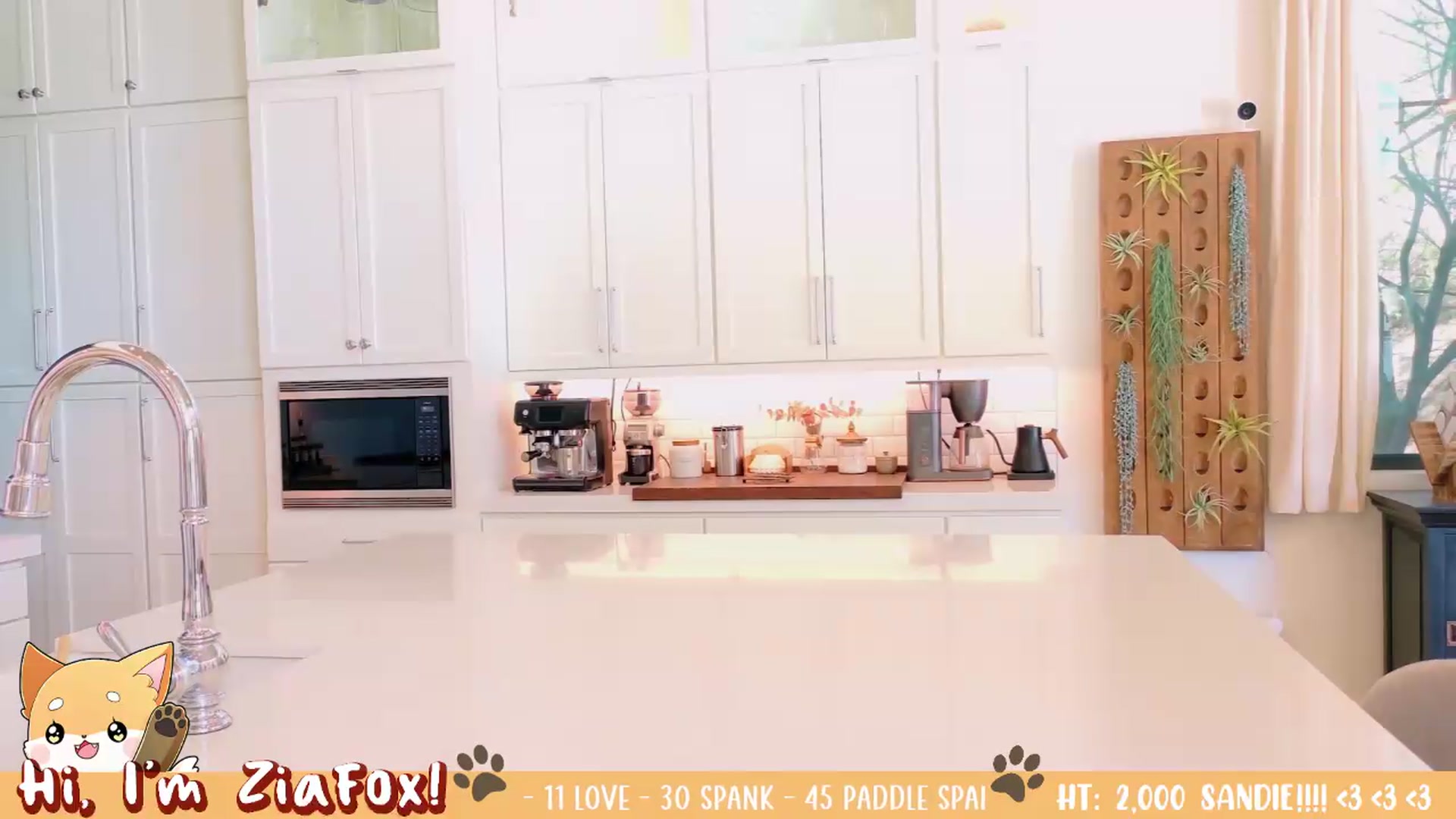 Gallery image thumbnail from ZiaFox's myfreecams stream on, 07/11/2026, 24:45 image 15 of 20
