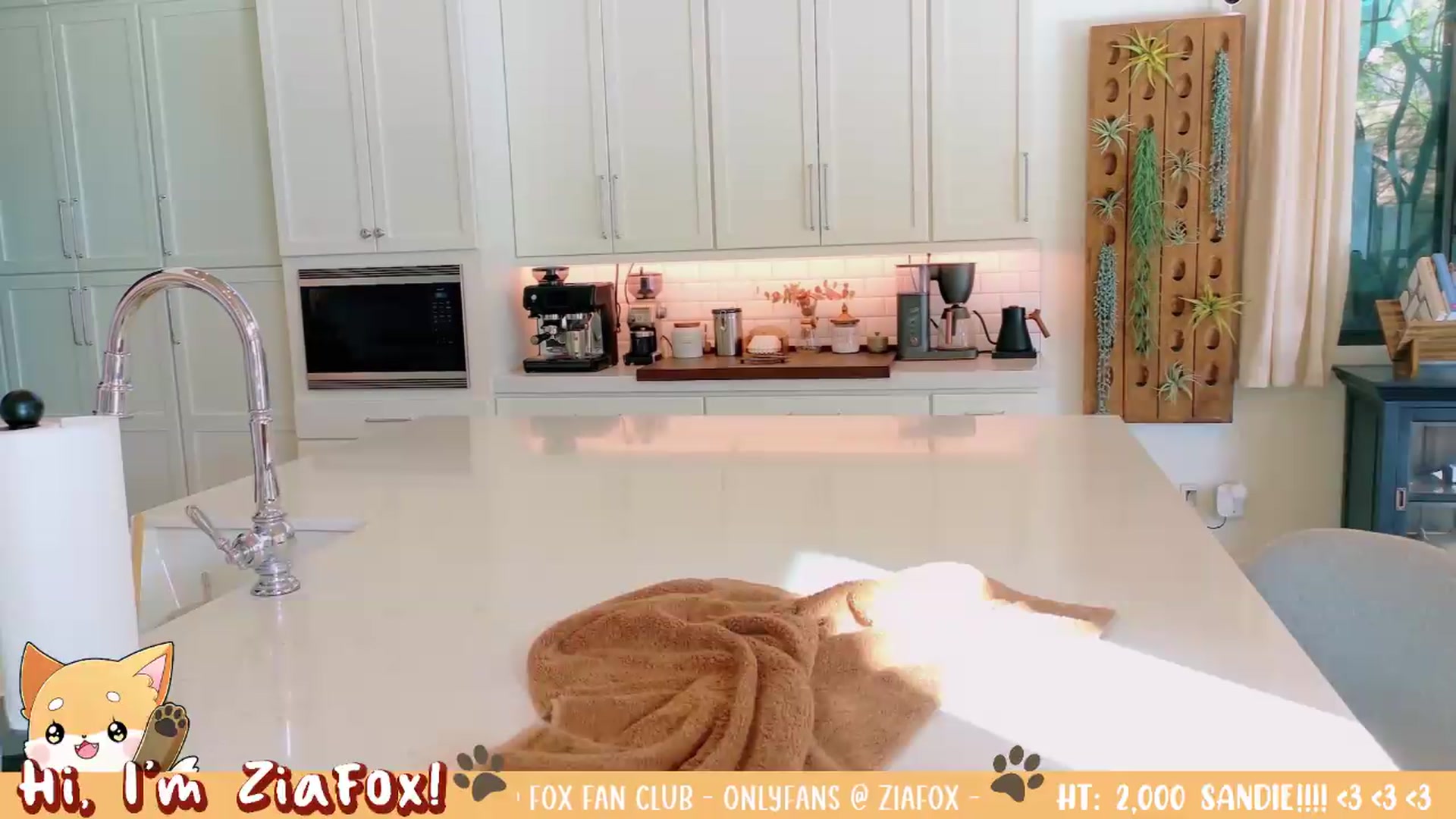 Gallery image thumbnail from ZiaFox's myfreecams stream on, 07/11/2026, 24:45 image 20 of 20