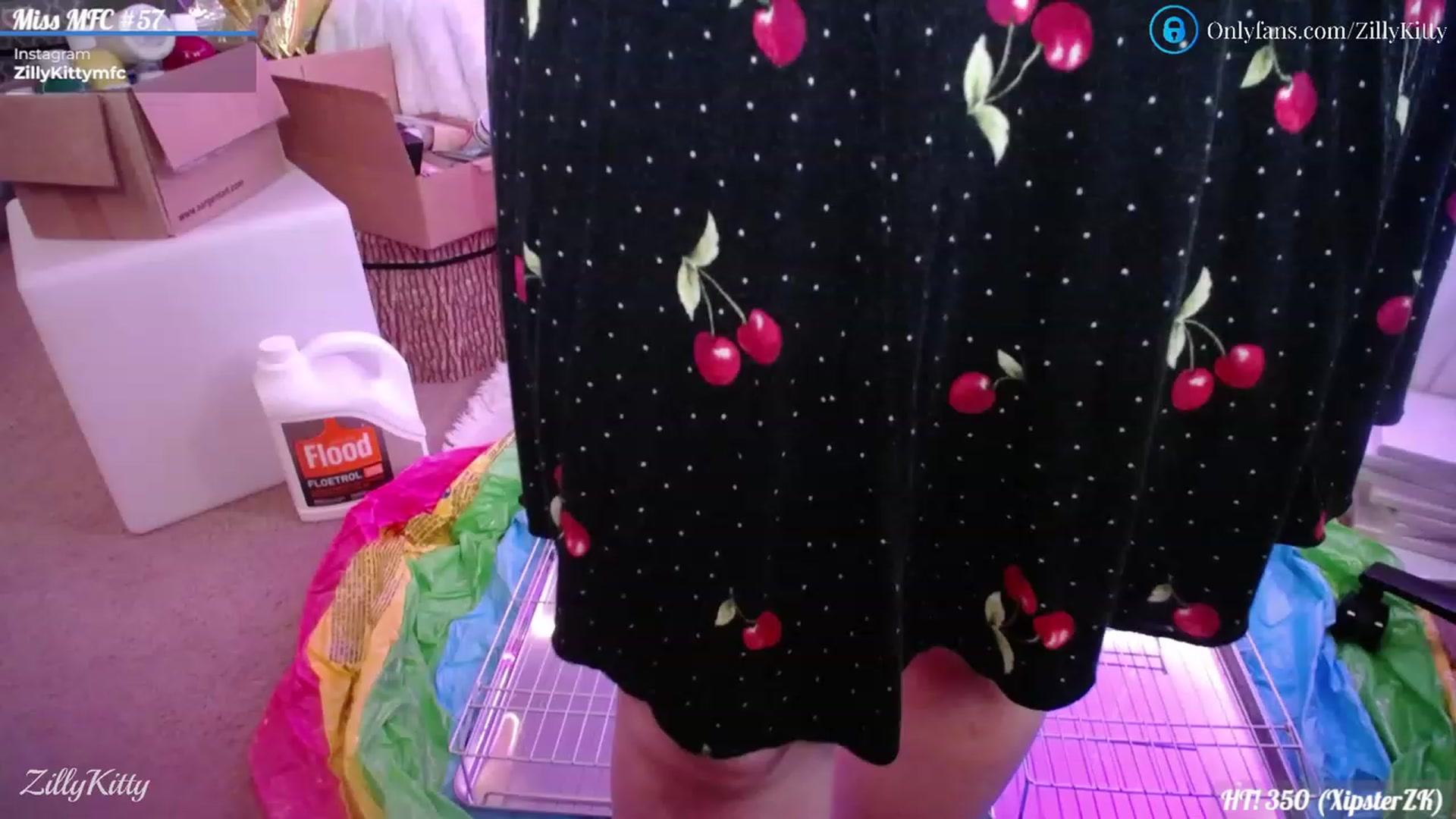 Gallery image thumbnail from ZillyKitty's myfreecams stream on, 07/10/2023, 23:24 image 2 of 20