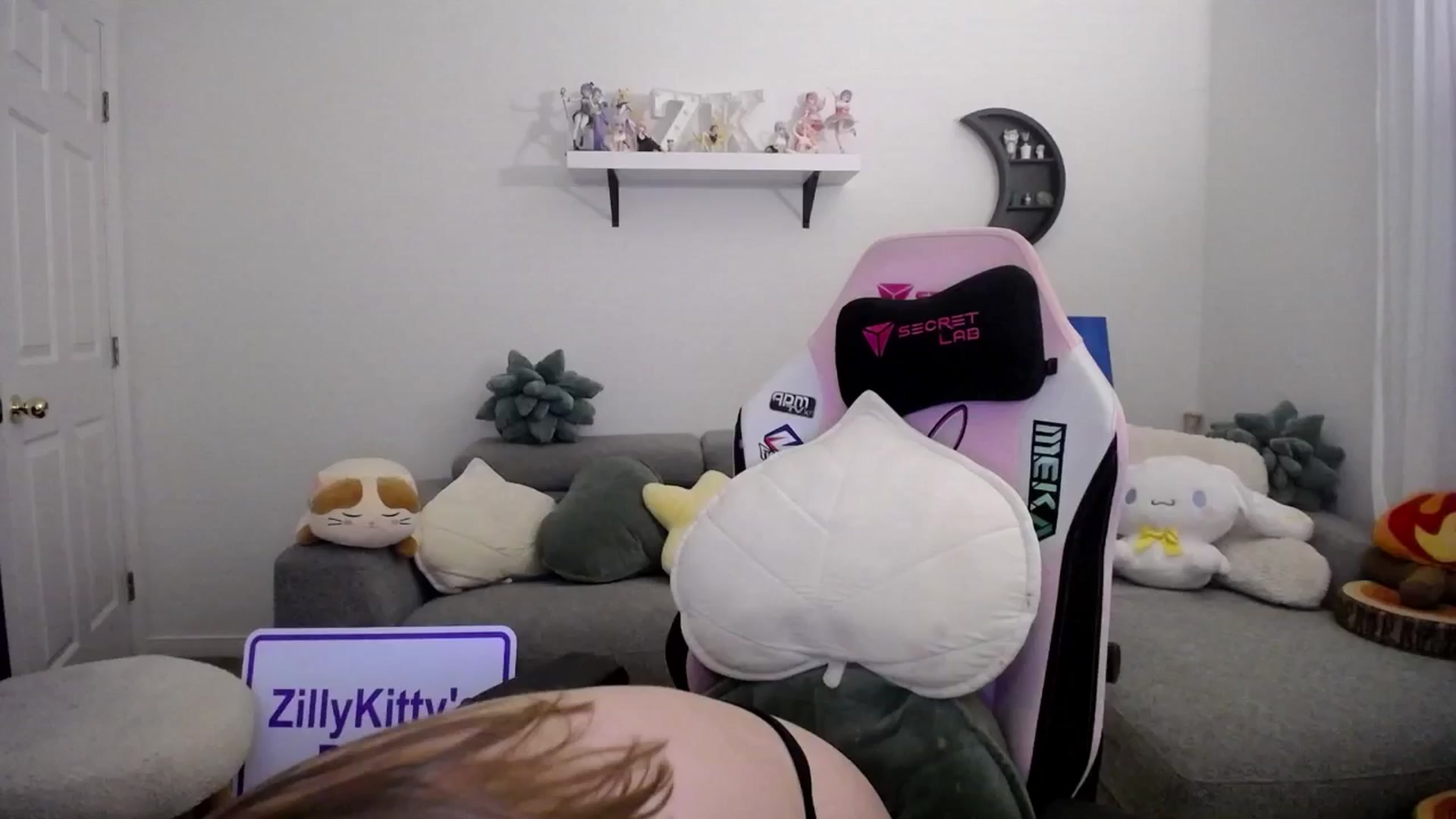 Gallery image thumbnail from ZillyKitty's myfreecams stream on, 06/01/2024, 01:17 image 15 of 20
