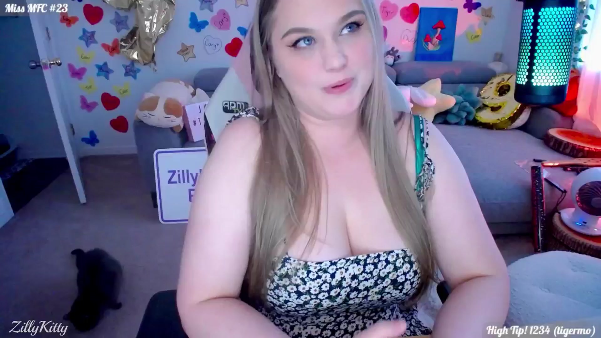 Gallery image thumbnail from ZillyKitty's myfreecams stream on, 08/01/2024, 03:56 image 6 of 20