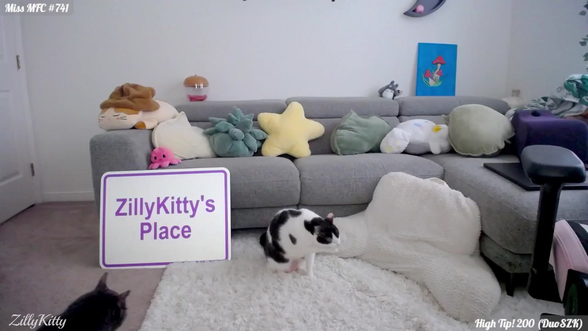 Gallery image thumbnail from ZillyKitty's myfreecams stream on, 08/13/2024, 24:00 image 14 of 20