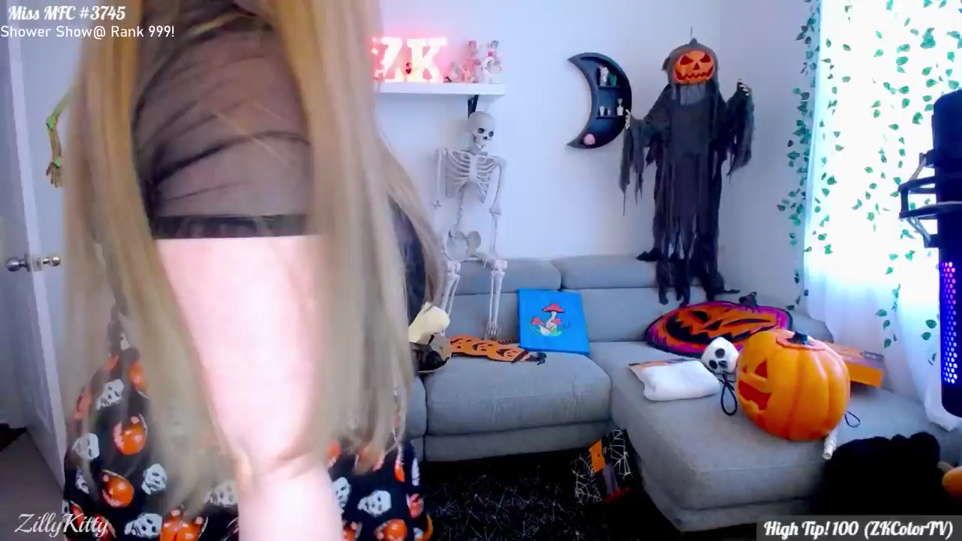 Gallery image thumbnail from ZillyKitty's myfreecams stream on, 09/29/2024, 24:44 image 4 of 20