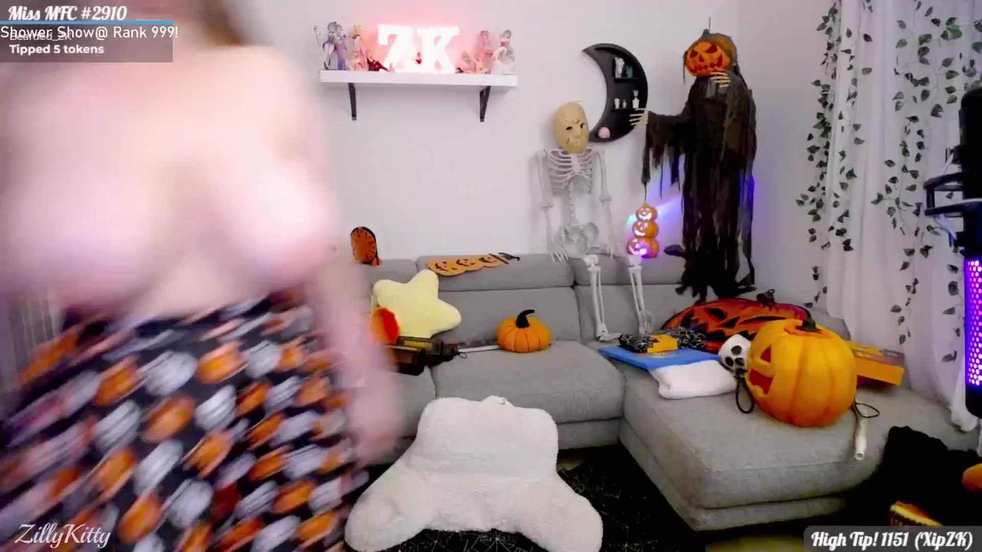 Gallery image thumbnail from ZillyKitty's myfreecams stream on, 09/29/2024, 24:44 image 12 of 20