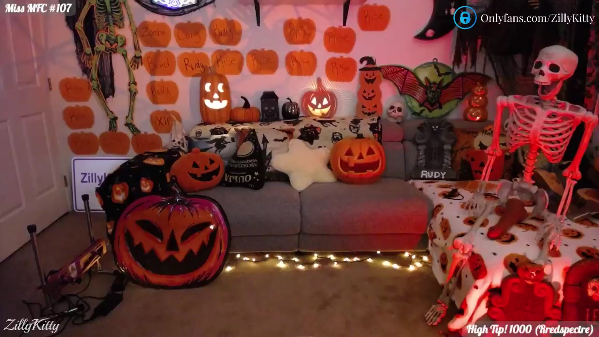 Gallery image thumbnail from ZillyKitty's myfreecams stream on, 10/04/2024, 01:55 image 18 of 20