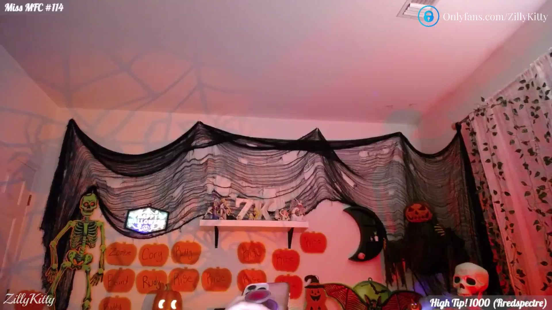 Gallery image thumbnail from ZillyKitty's myfreecams stream on, 10/04/2024, 01:55 image 14 of 20