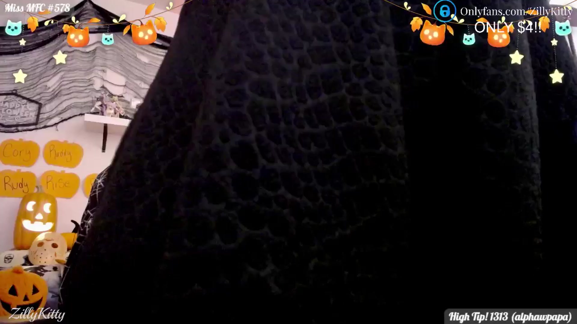 Gallery image thumbnail from ZillyKitty's myfreecams stream on, 10/19/2024, 02:07 image 6 of 20