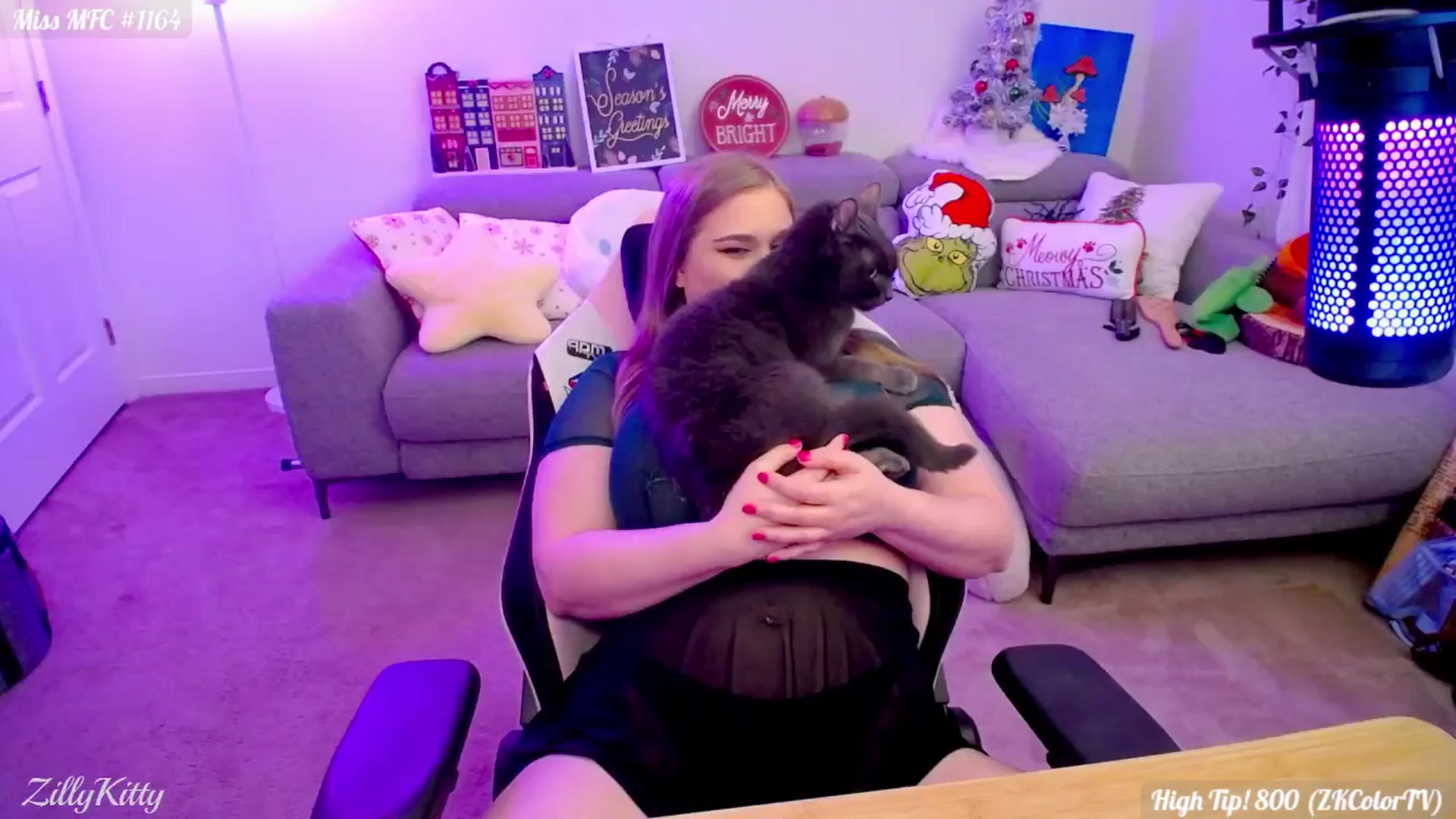 Gallery image thumbnail from ZillyKitty's myfreecams stream on, 11/16/2024, 02:53 image 9 of 20