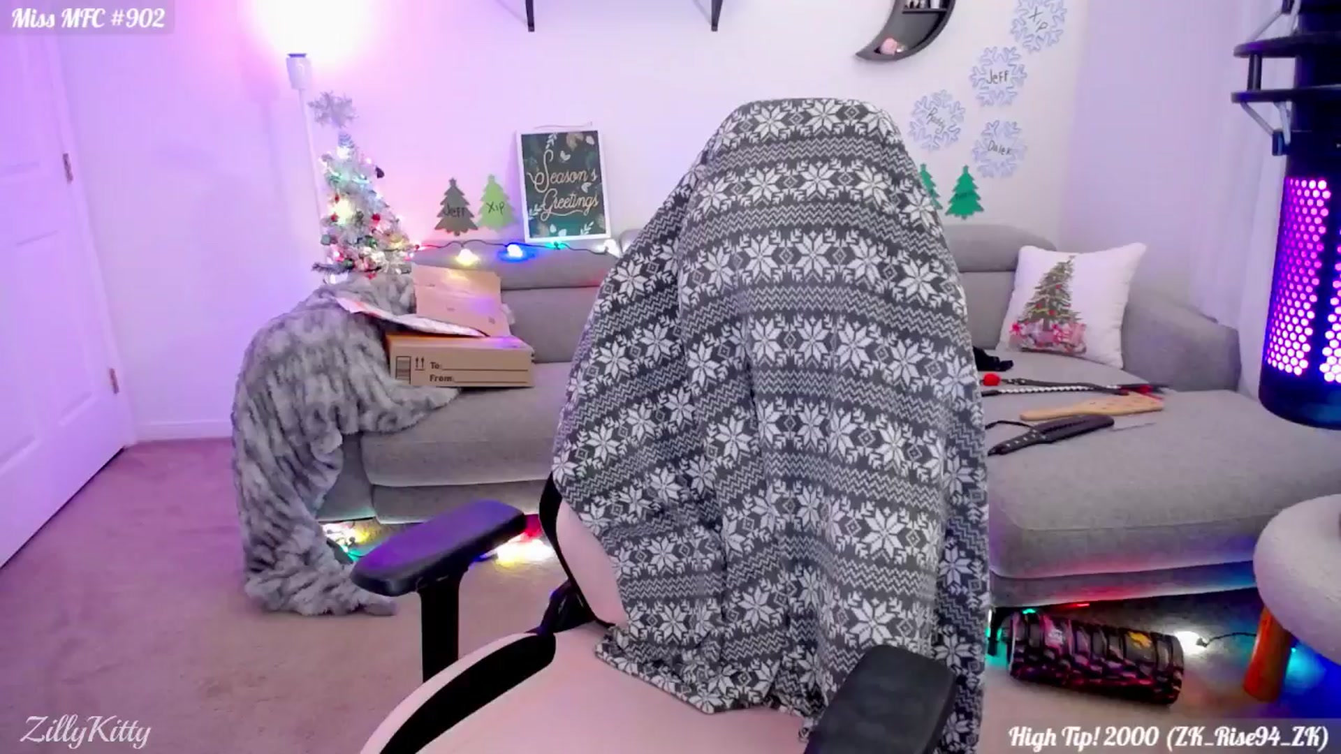 Gallery image thumbnail from ZillyKitty's myfreecams stream on, 12/10/2024, 04:28 image 13 of 20