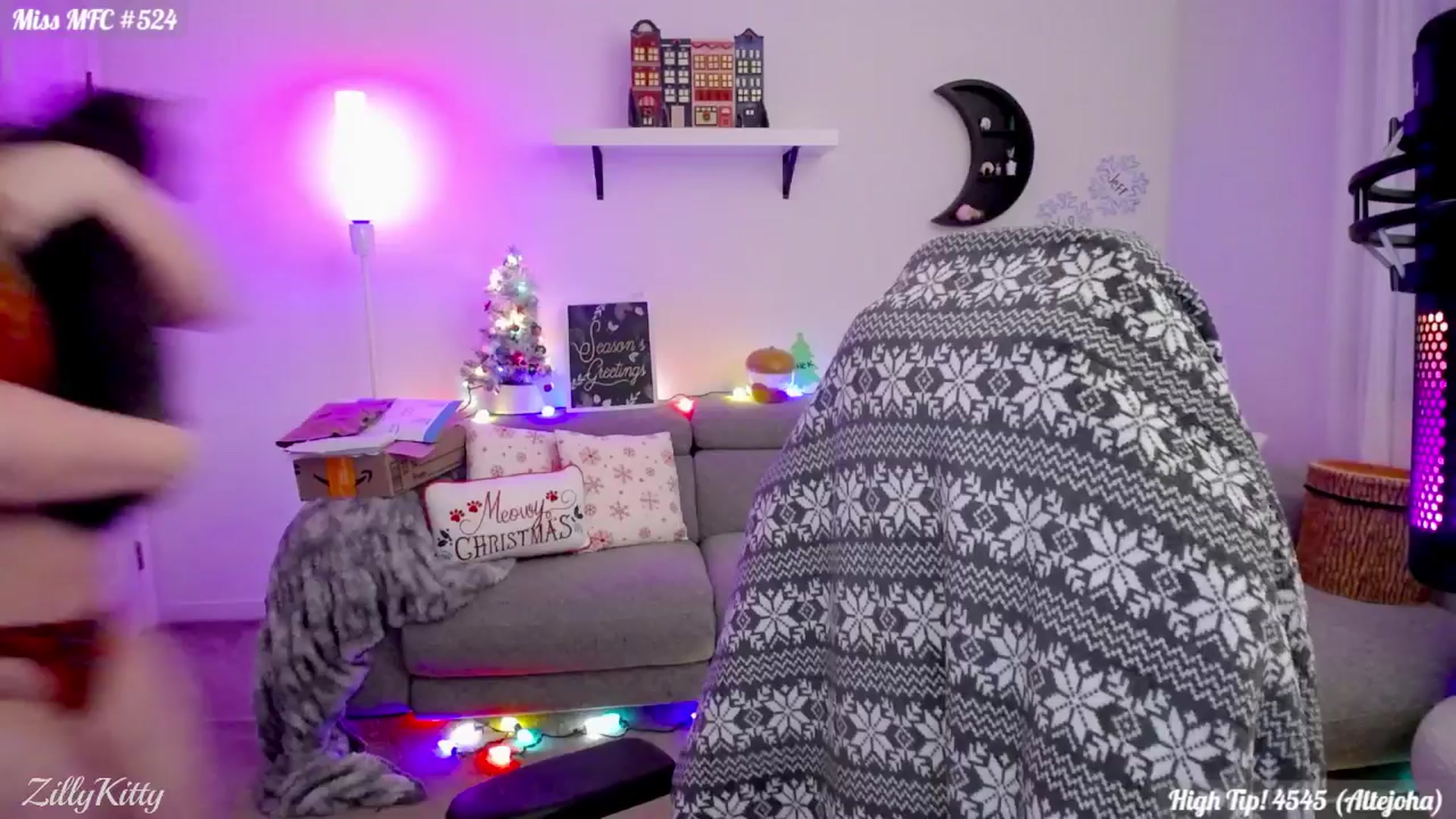 Gallery image thumbnail from ZillyKitty's myfreecams stream on, 12/19/2024, 24:50 image 5 of 20