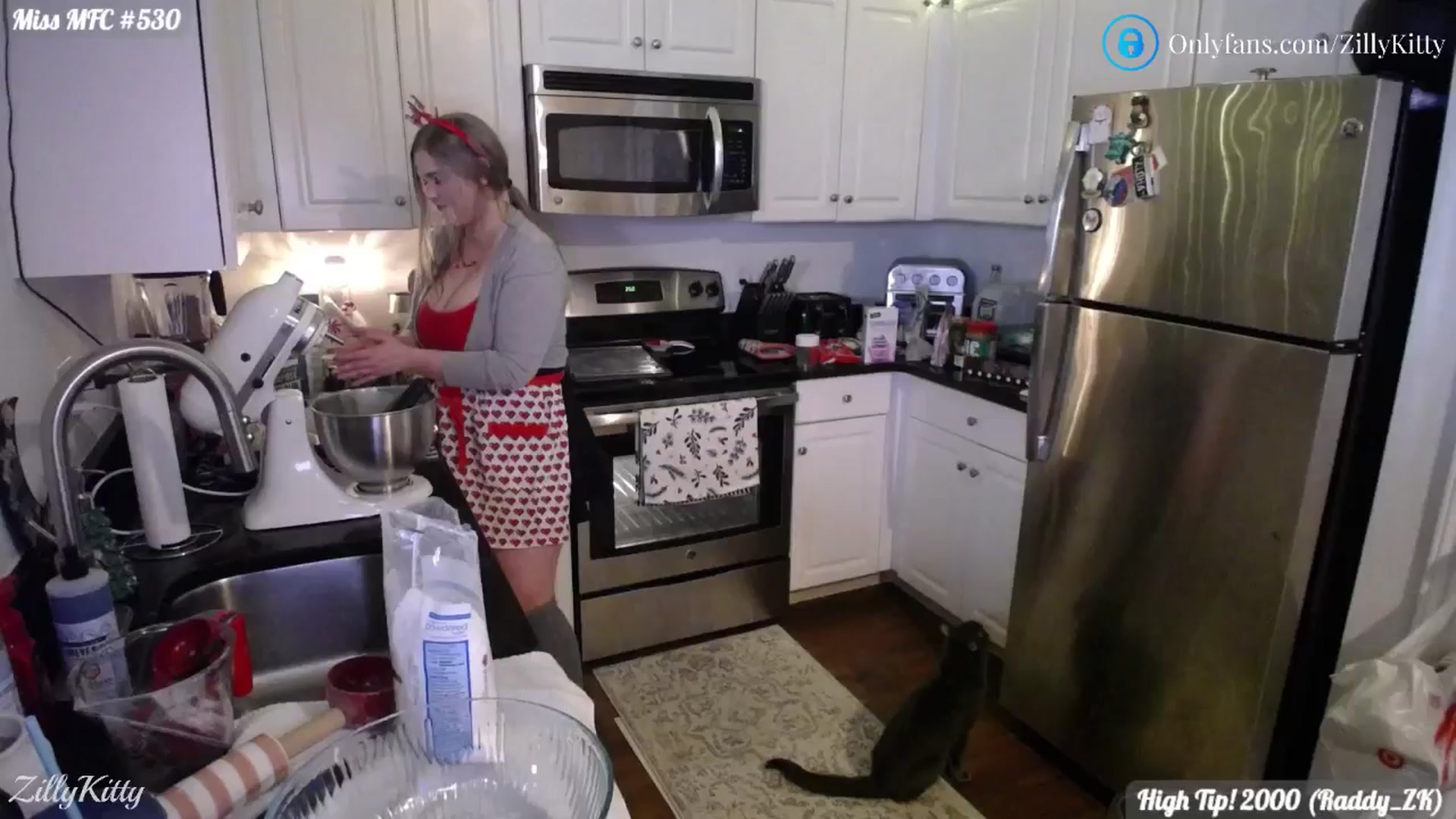 Gallery image thumbnail from ZillyKitty's myfreecams stream on, 12/21/2024, 03:06 image 13 of 20