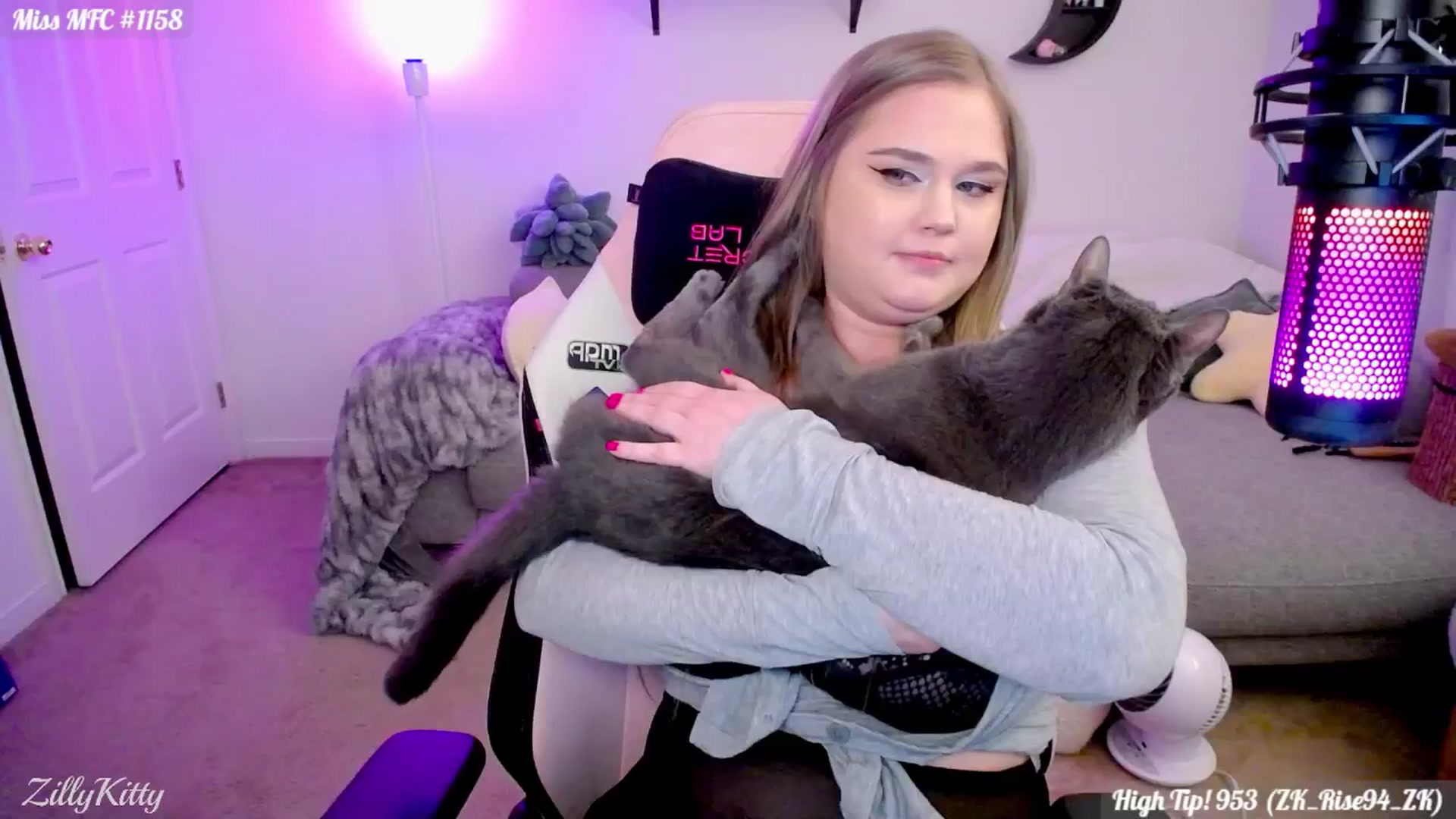 Gallery image thumbnail from ZillyKitty's myfreecams stream on, 01/11/2025, 01:36 image 14 of 20