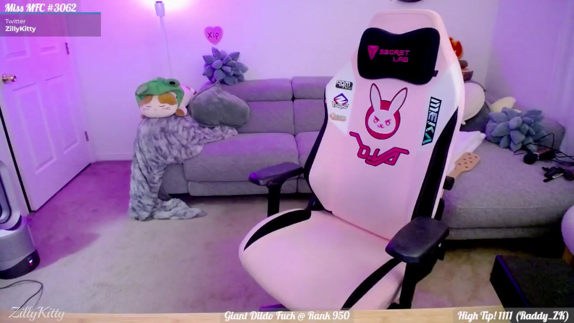 Gallery image thumbnail from ZillyKitty's myfreecams stream on, 02/08/2025, 24:03 image 15 of 20