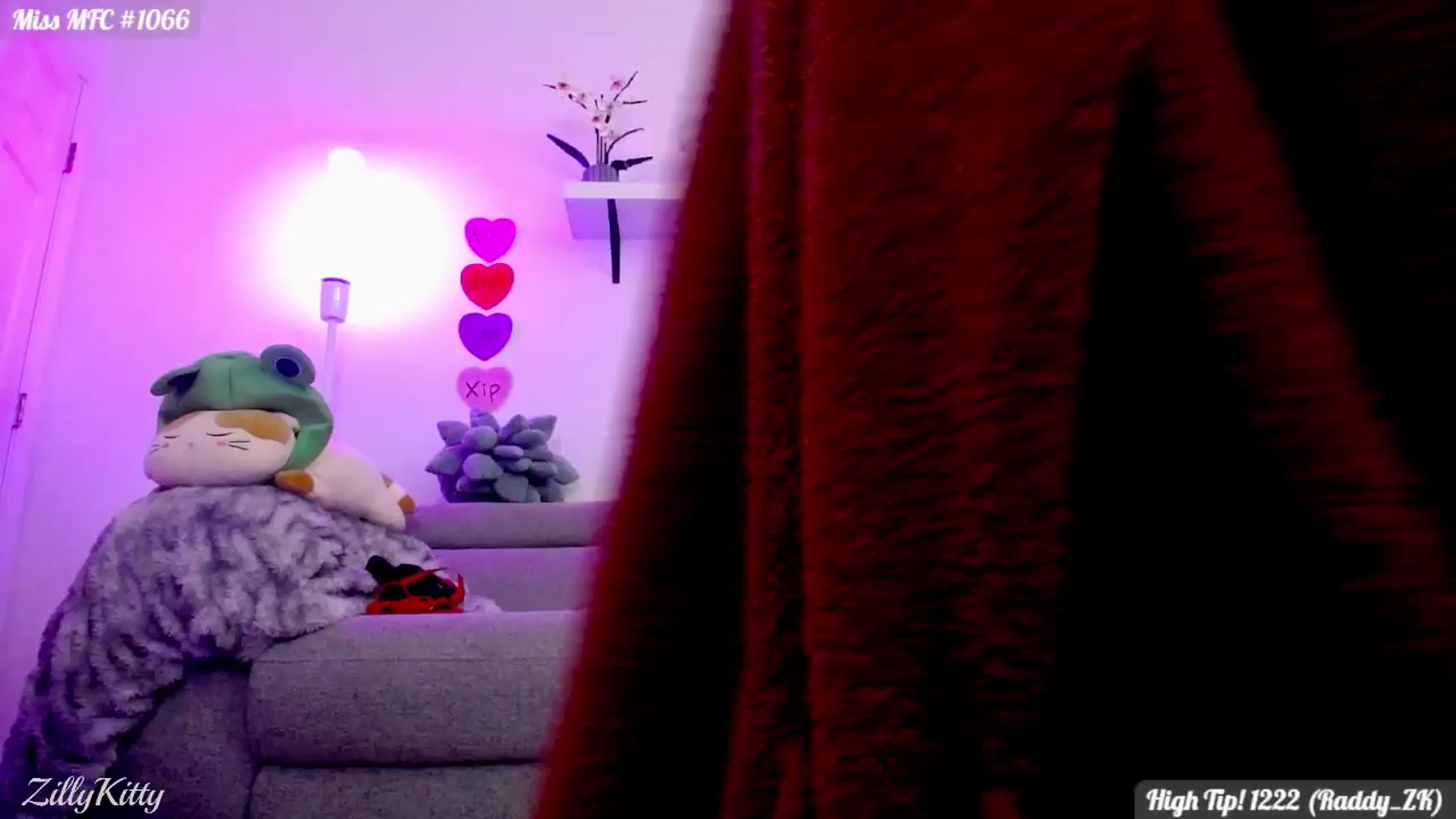 Gallery image thumbnail from ZillyKitty's myfreecams stream on, 02/08/2025, 02:45 image 18 of 20