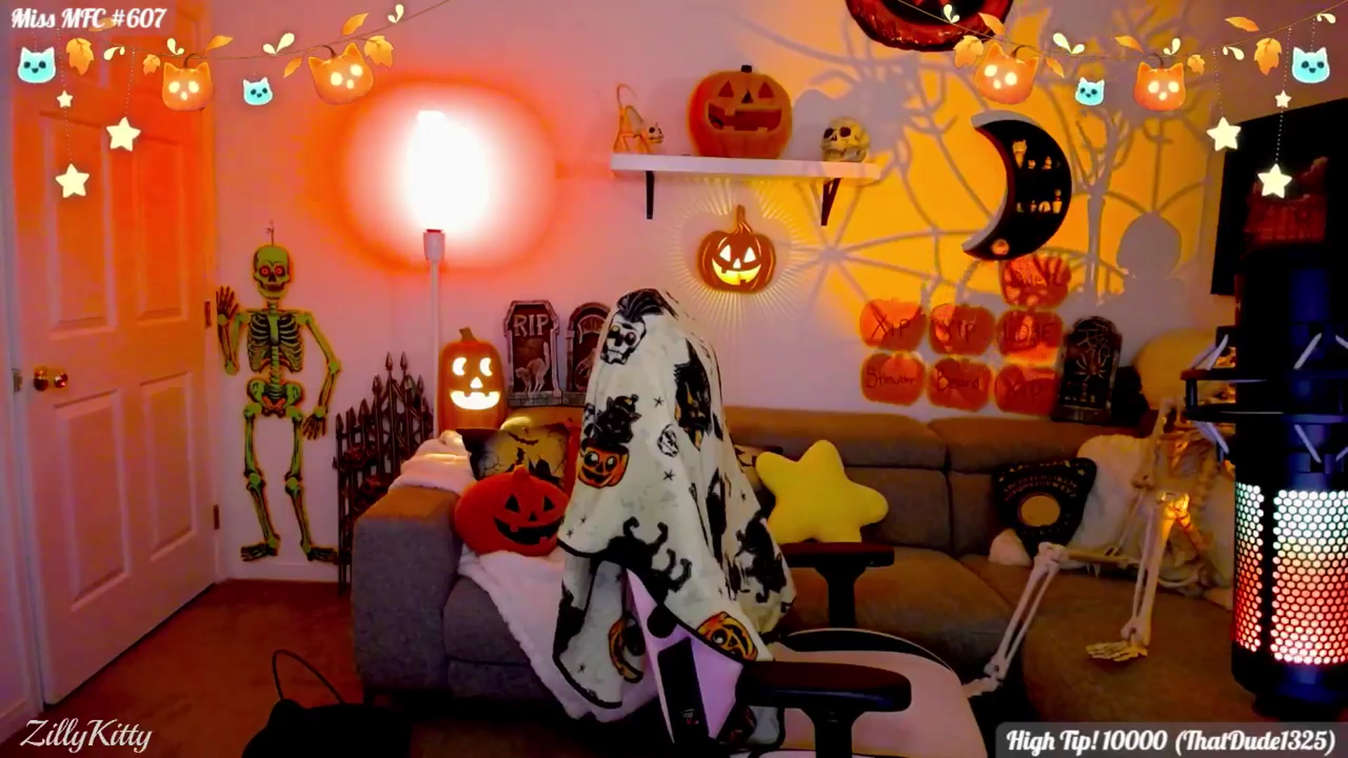 Gallery image thumbnail from ZillyKitty's myfreecams stream on, 10/15/2025, 02:05 image 12 of 20