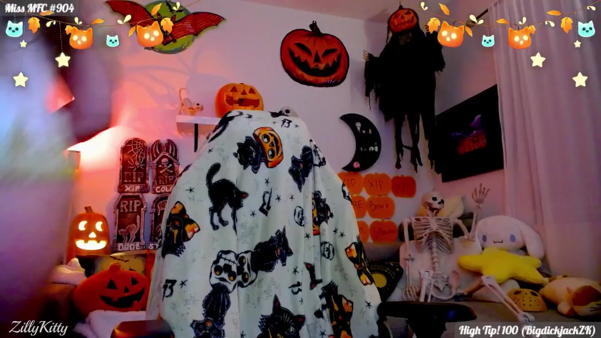 Gallery image thumbnail from ZillyKitty's myfreecams stream on, 10/26/2025, 02:22 image 6 of 20